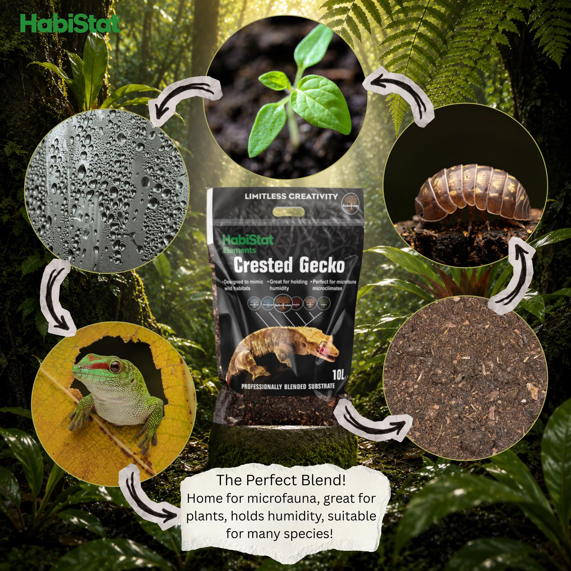 @HabiStatReptile