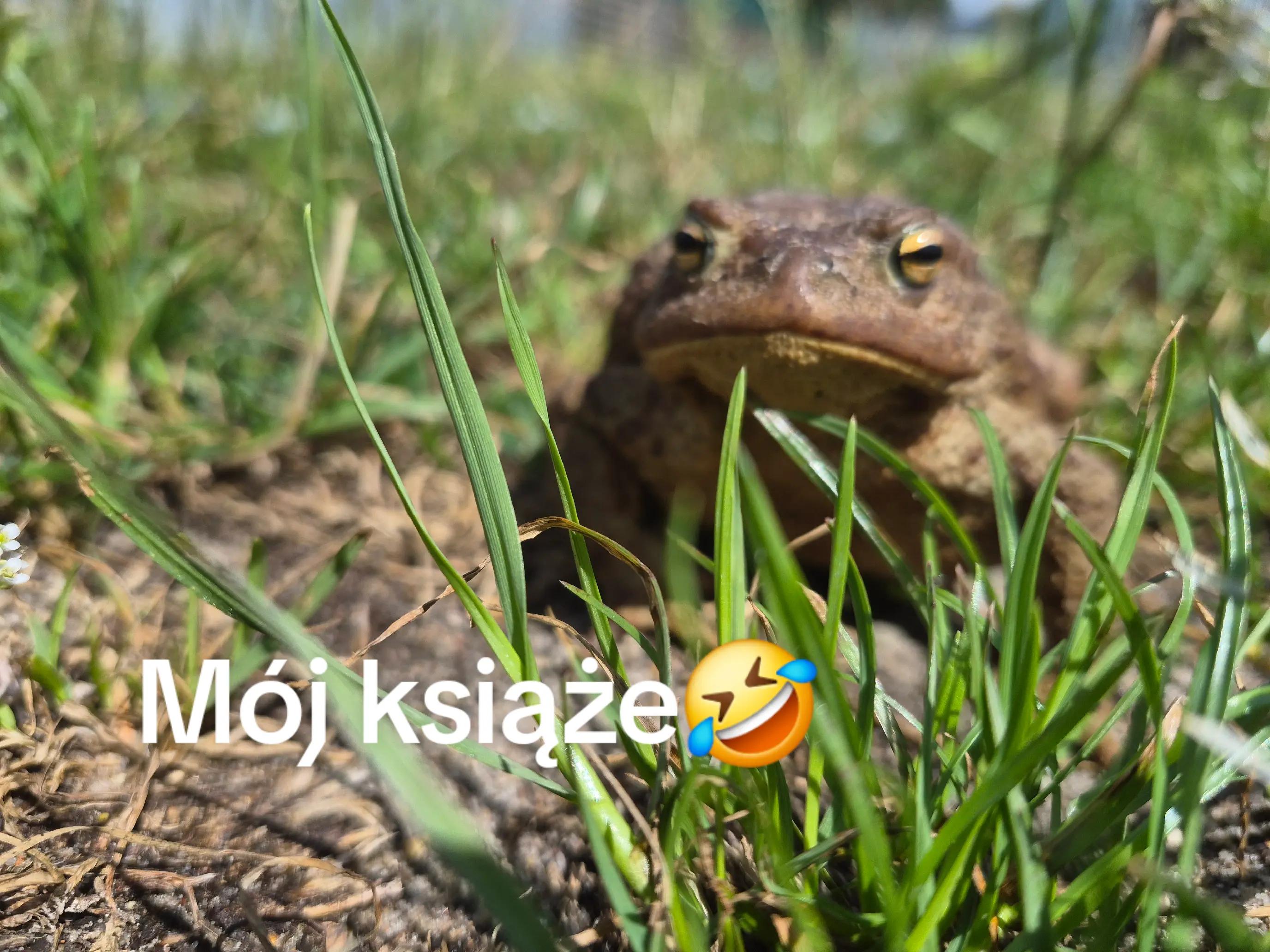 @Katarzyna