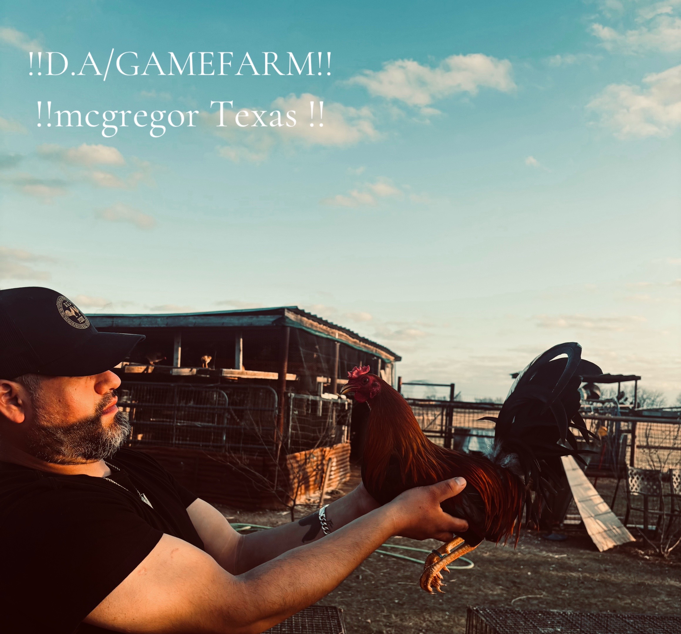 @DAgamefarm