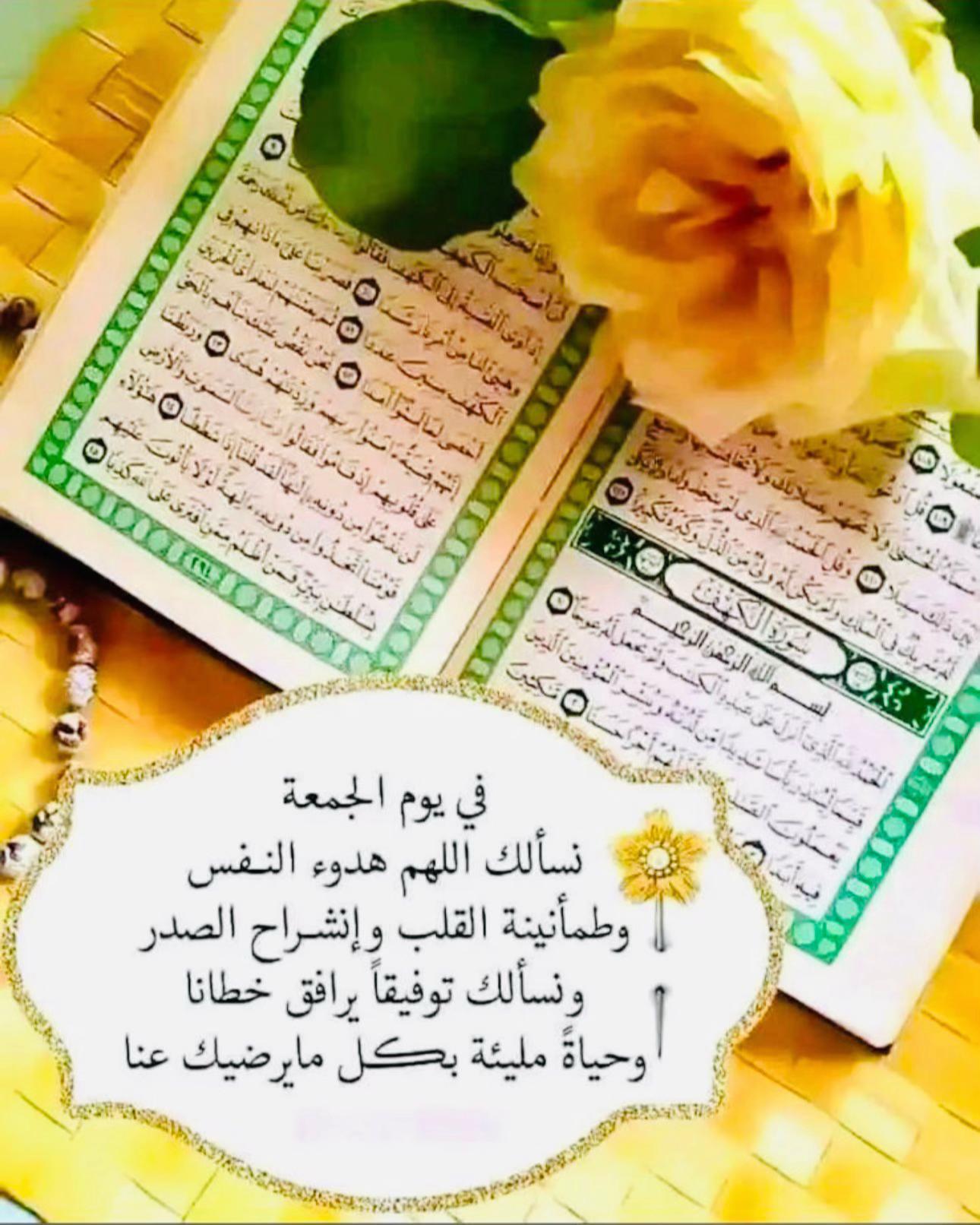 @abohashem123