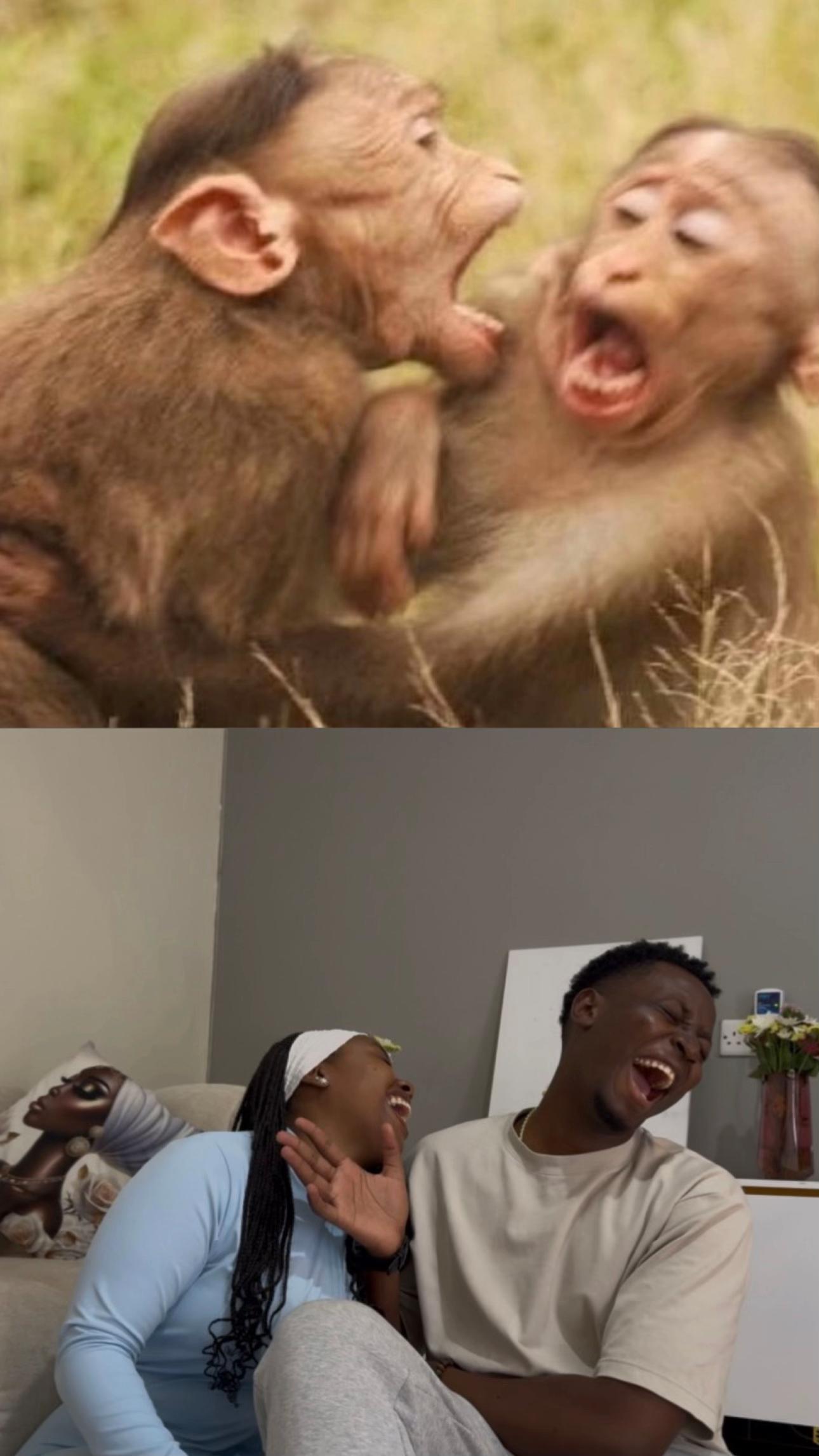 @NjeriNdegwa_