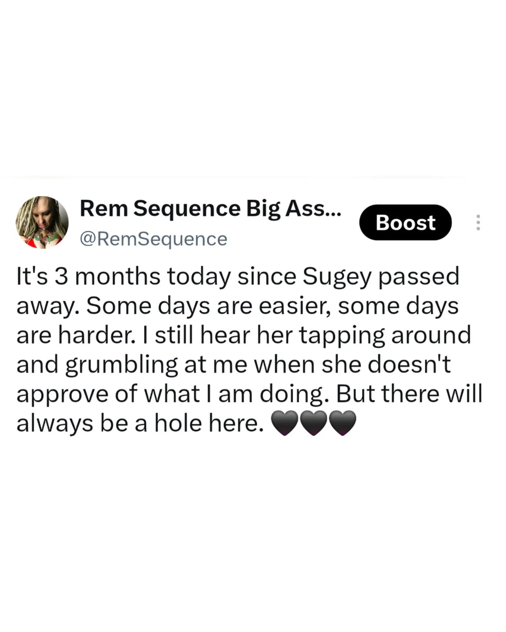 @Rem Sequence | YT: RemSequence