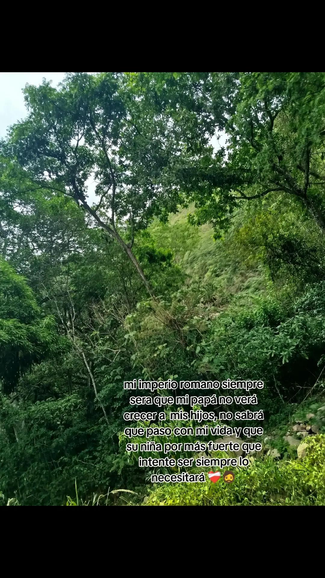 @Rivera Rivera 🍄💫