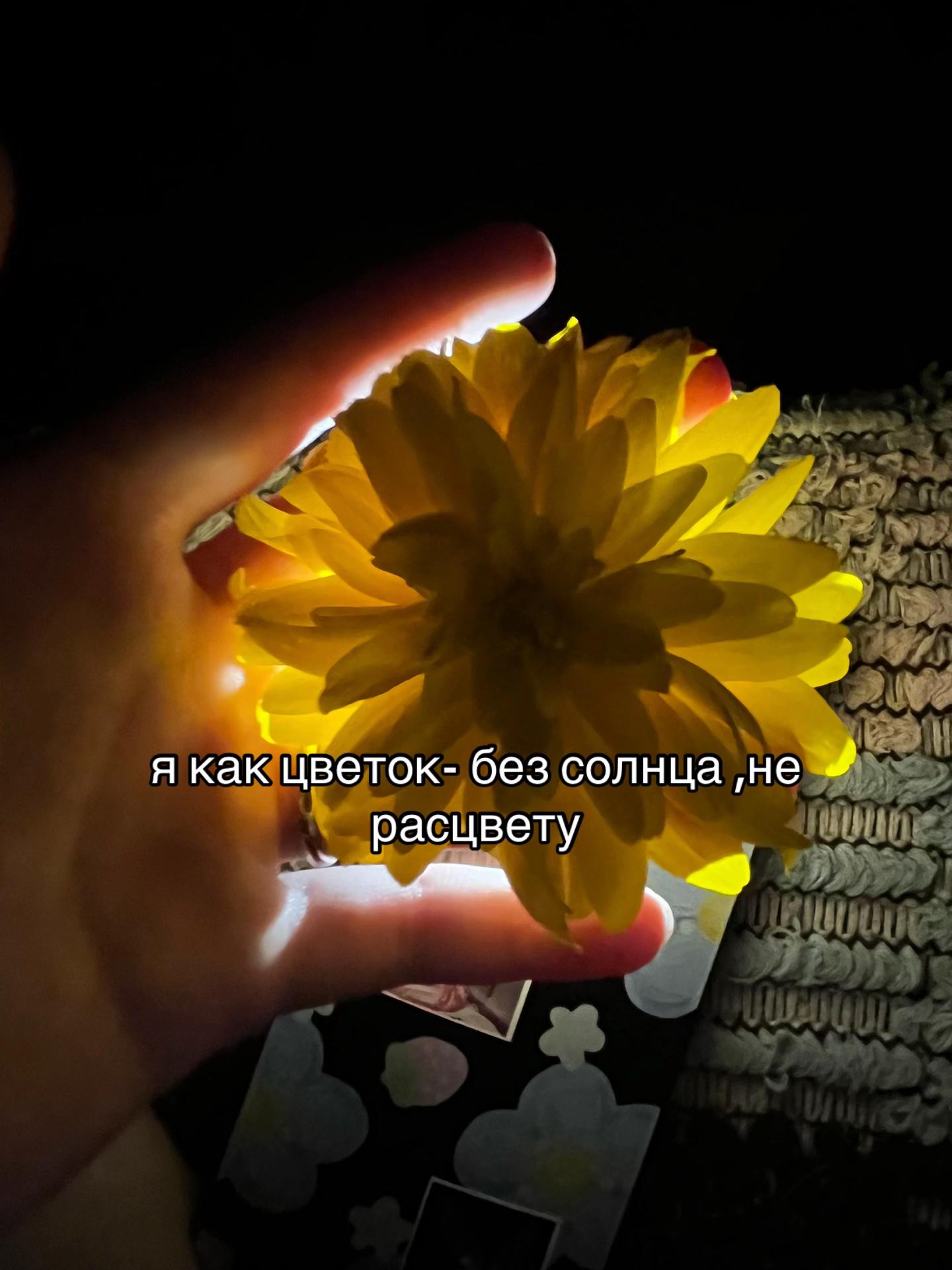 @сонюшка🪽