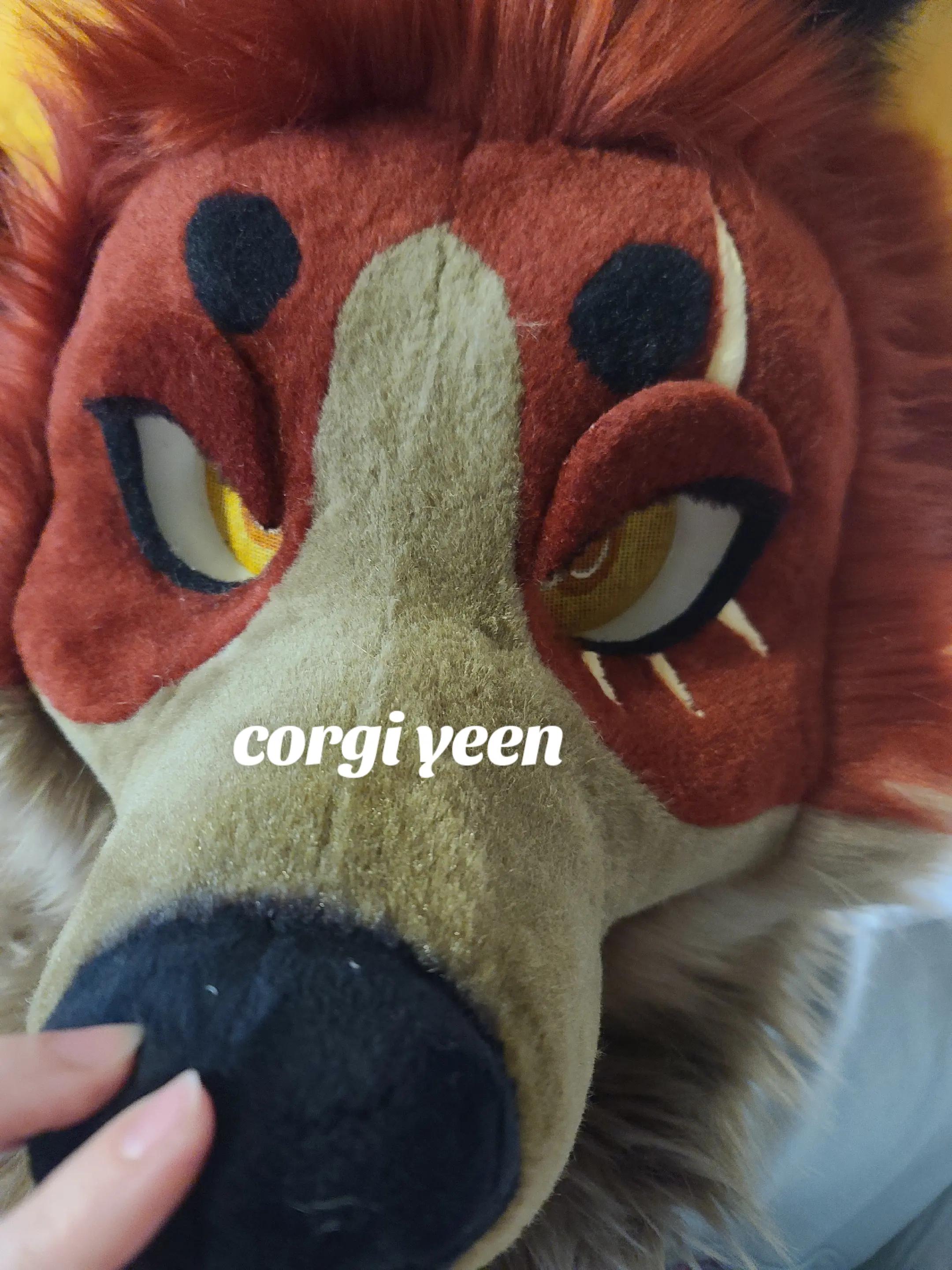 @Fursuit Parade