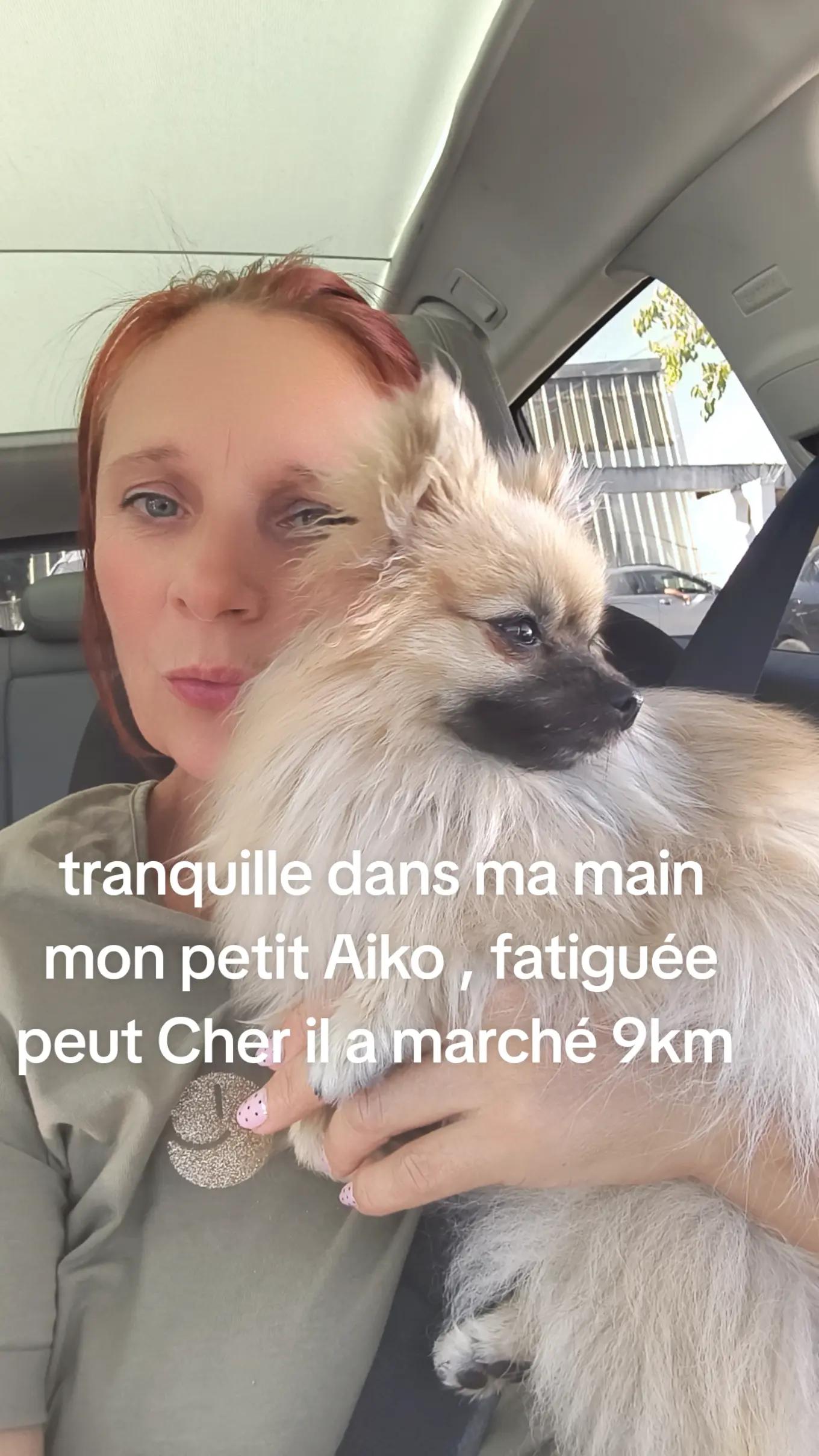 @bellastef