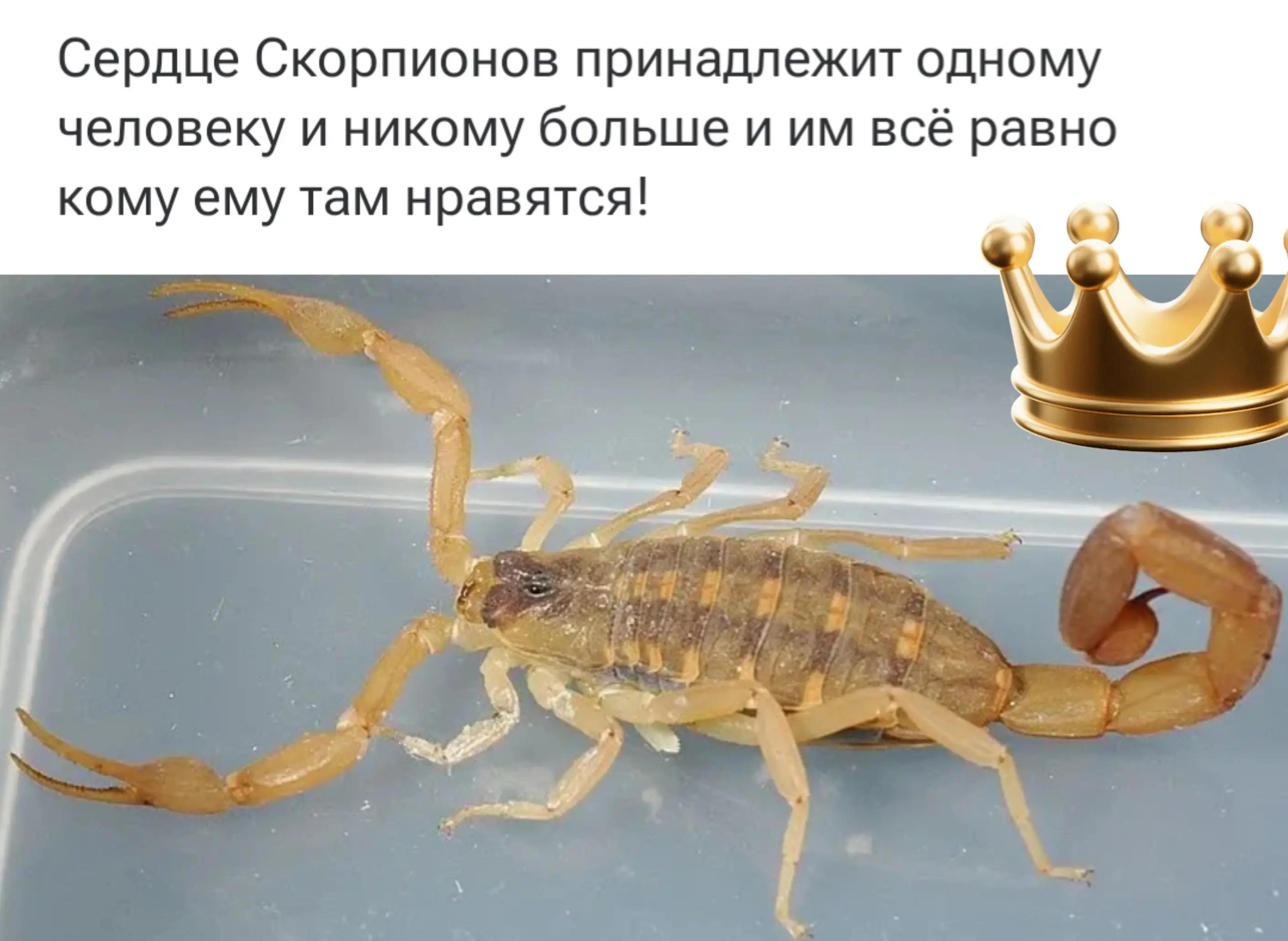 @SamirƏhmədli