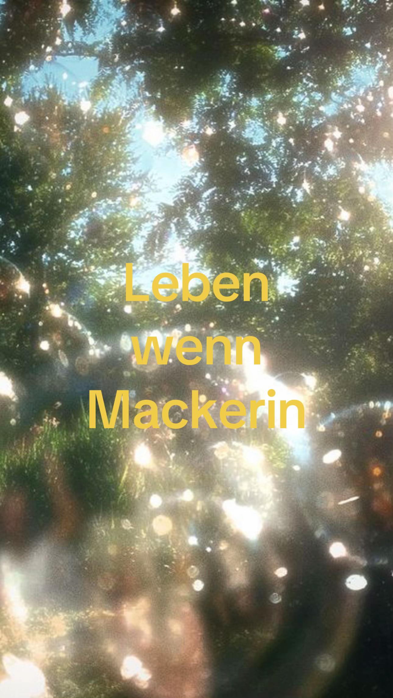 @5Raumfenster