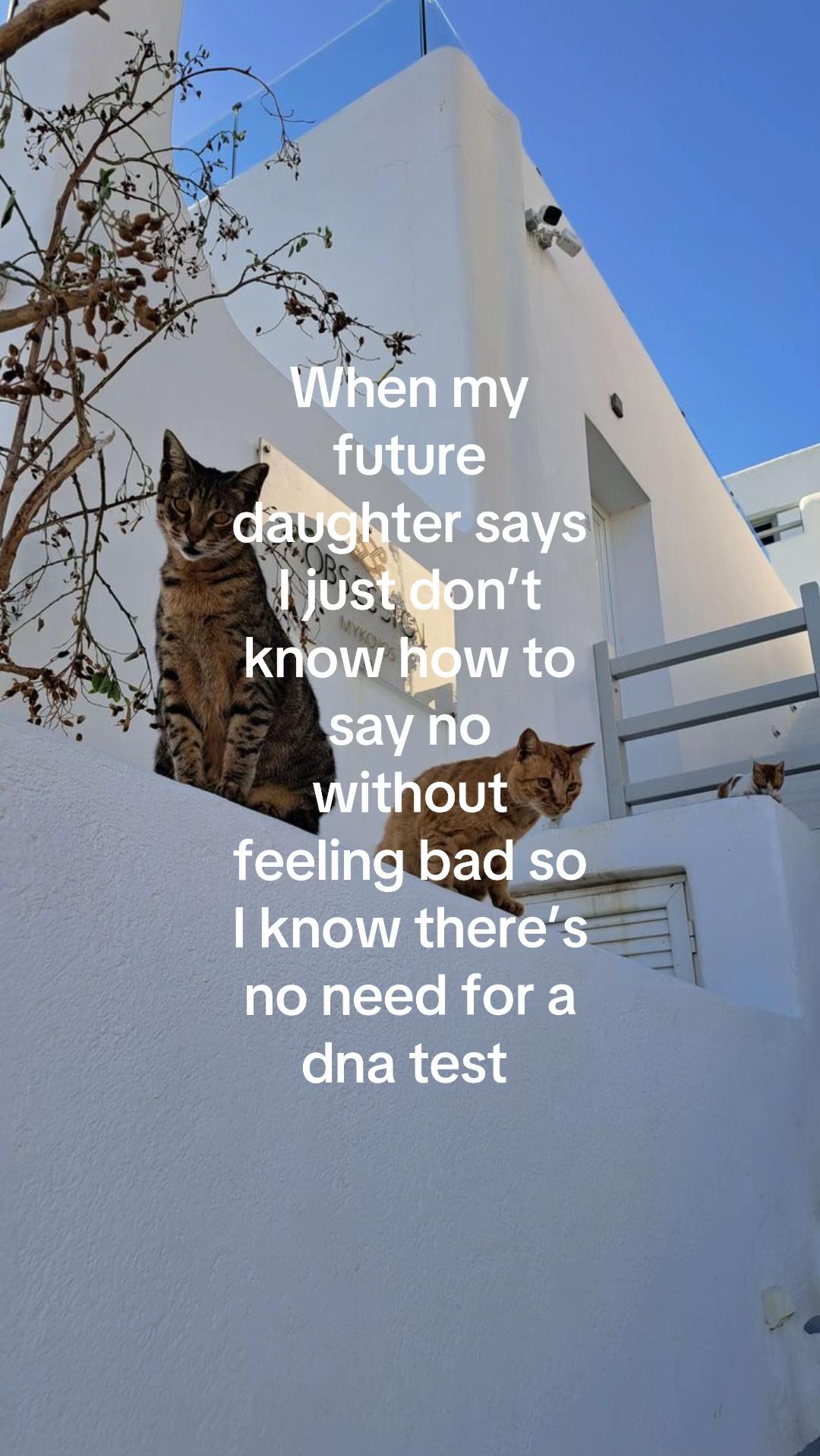 @ℒ𝒾𝒶𝓃𝓎𝓃𝒶