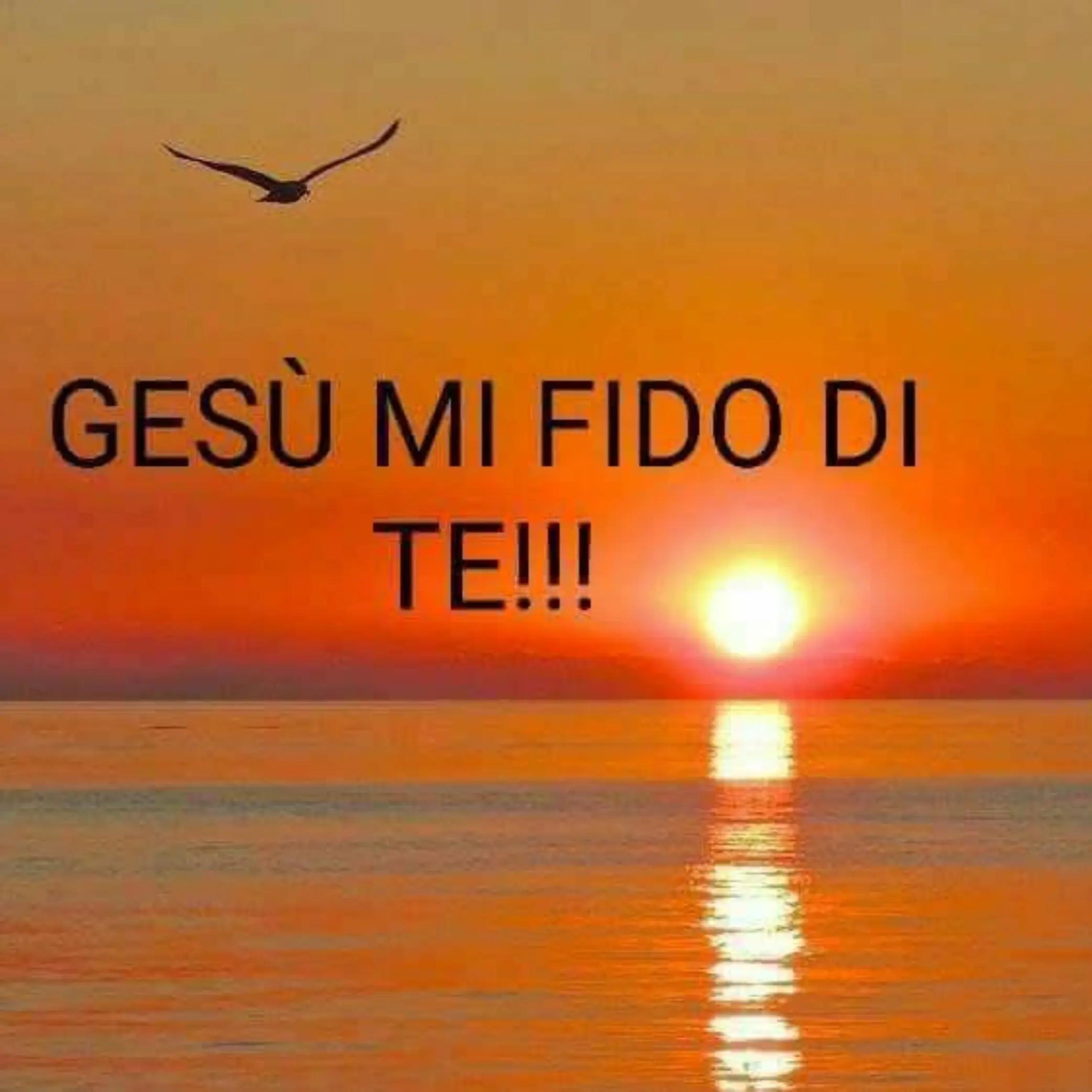 @Gallucci Rosy77 ❤️💙💙