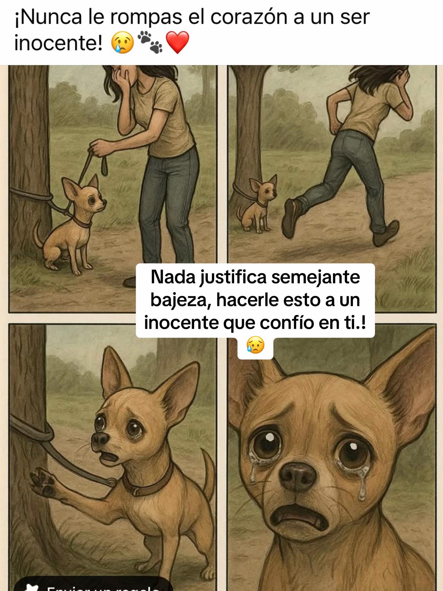 @Patricia Briceño