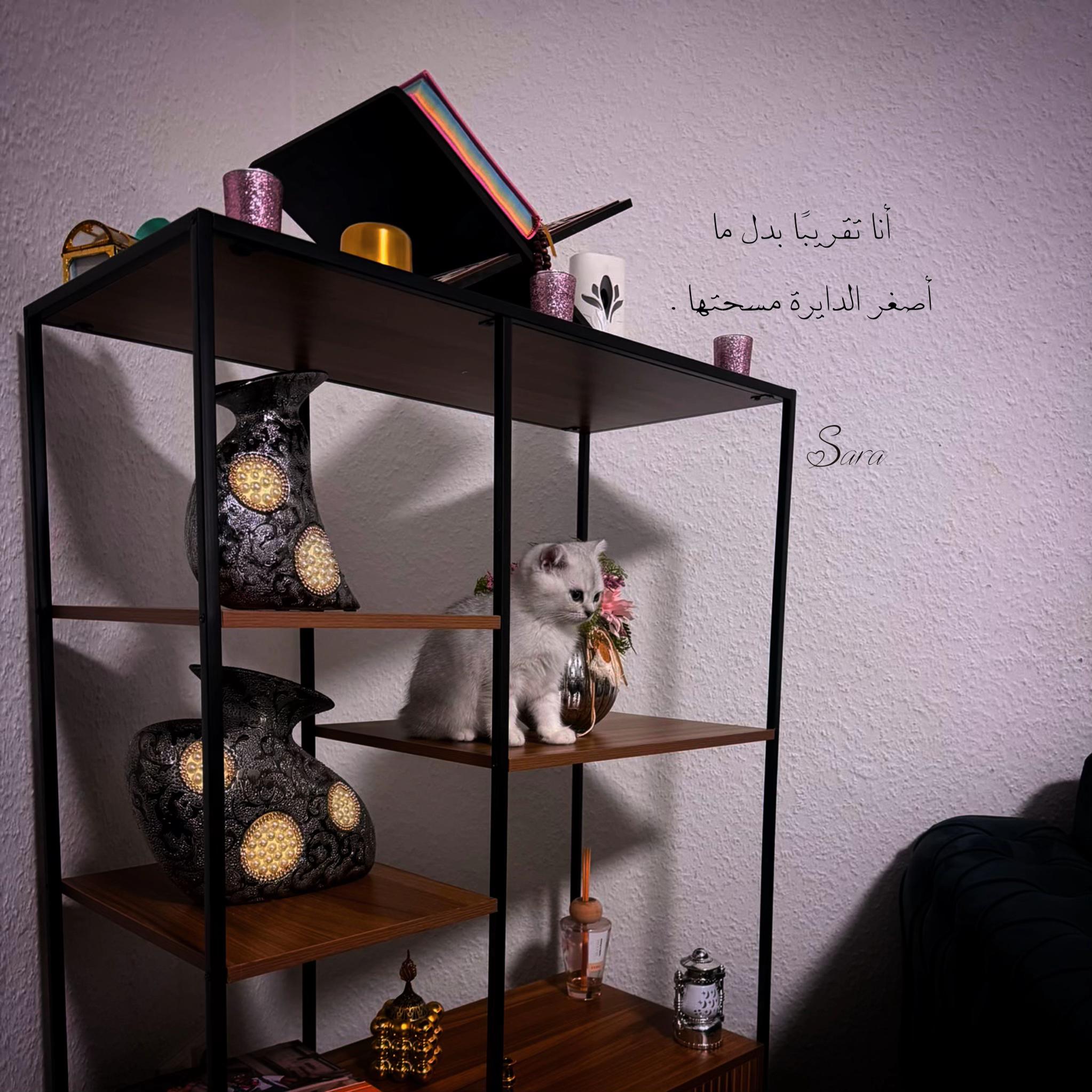 @༊෴✿سہارة✿〄