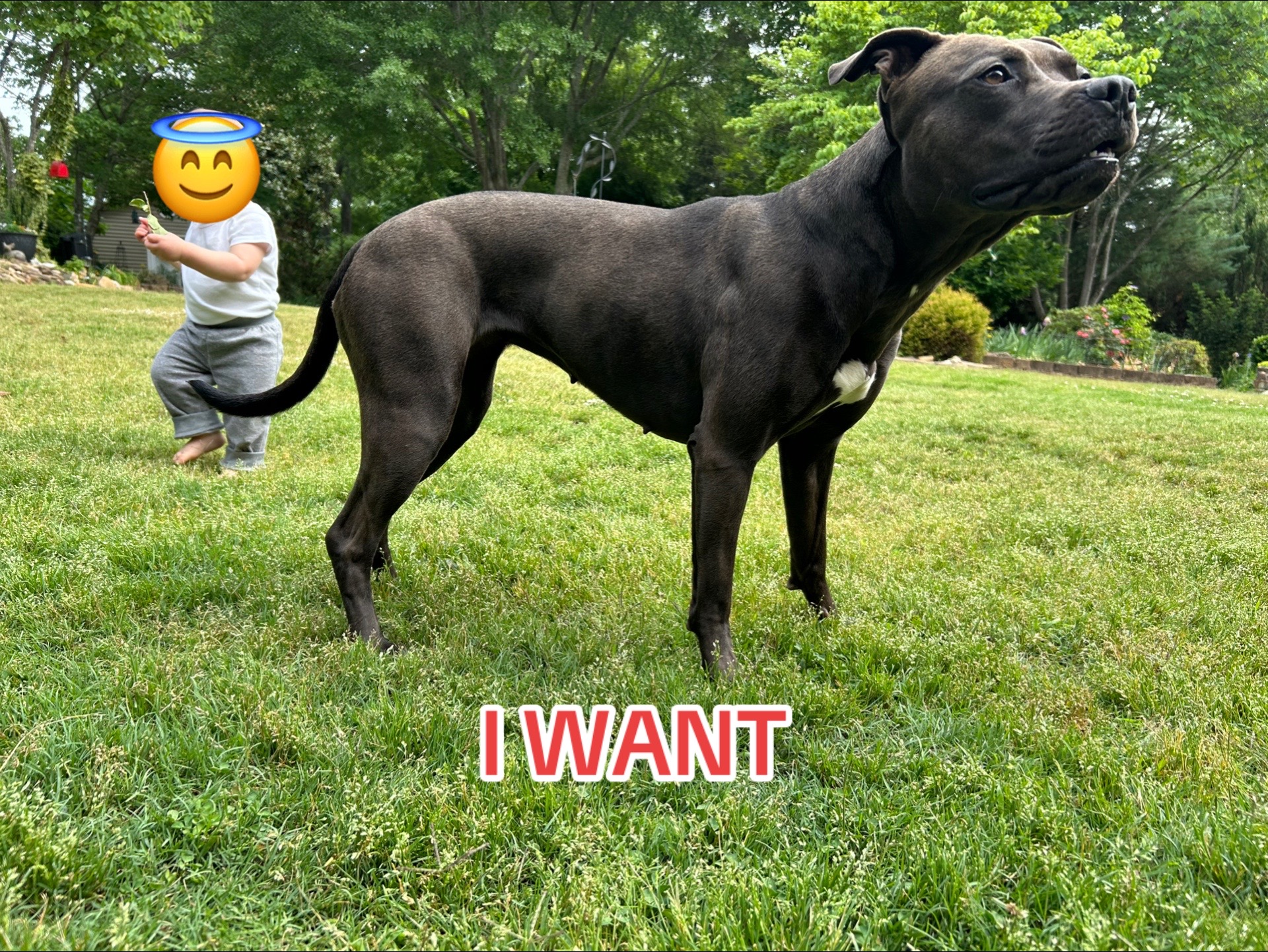 @𝓐𝓶𝓸𝓻𝓪&deg;.⋆༺𓋹༻⋆.&deg;