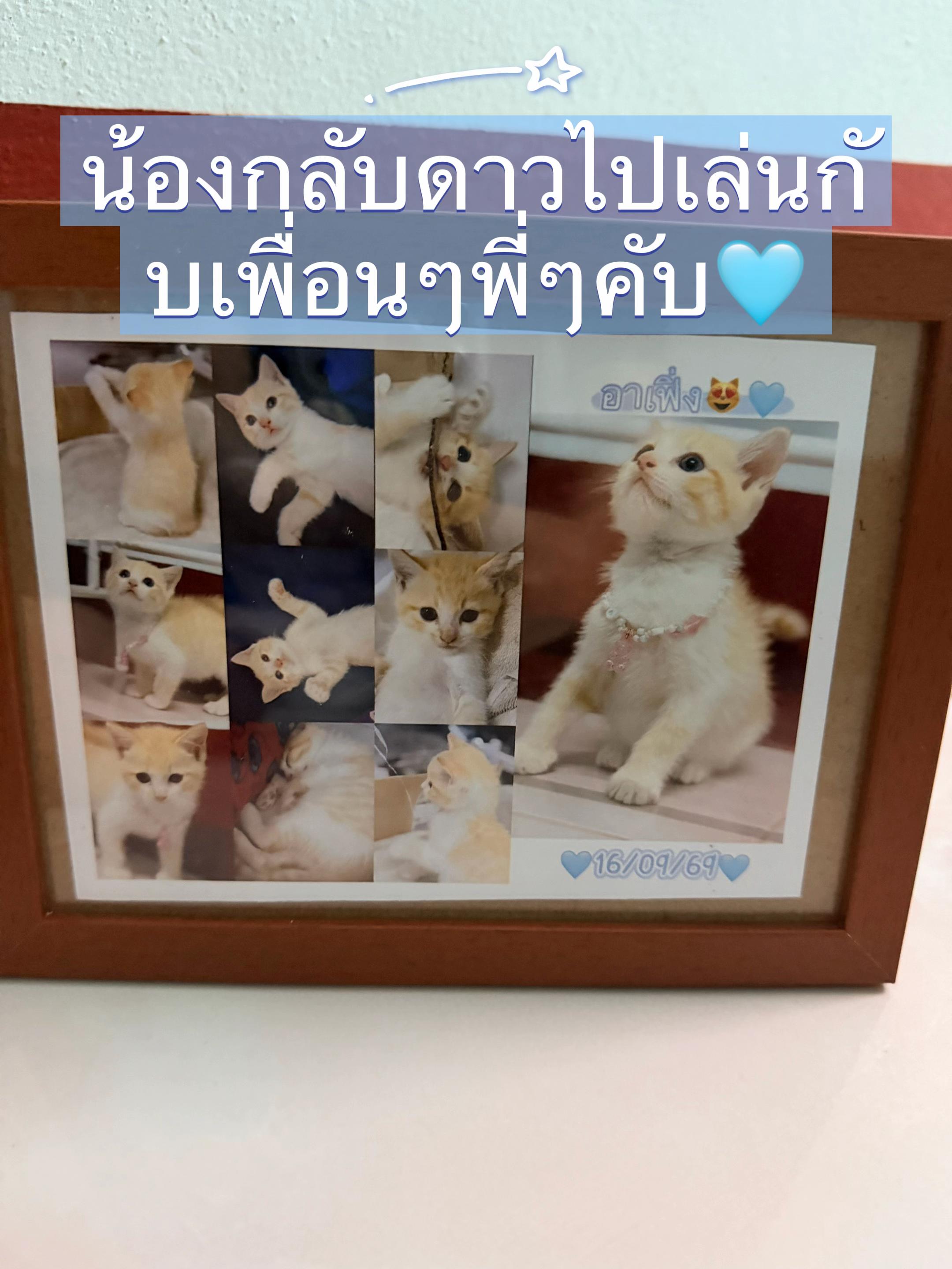 @天 FAH🩵11.7k🏮⛩️🪭