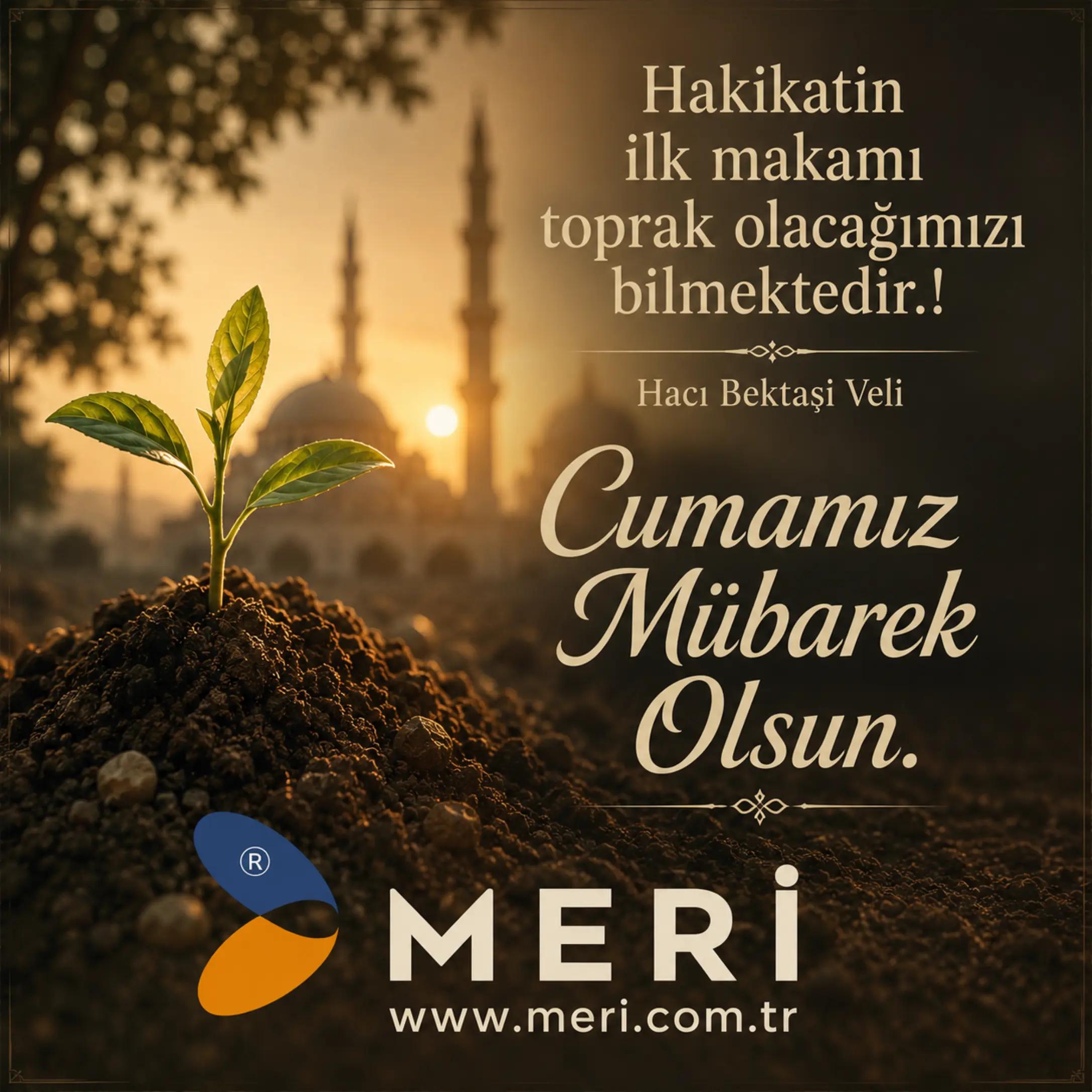 @Meri Sineklik İsmail Kurt