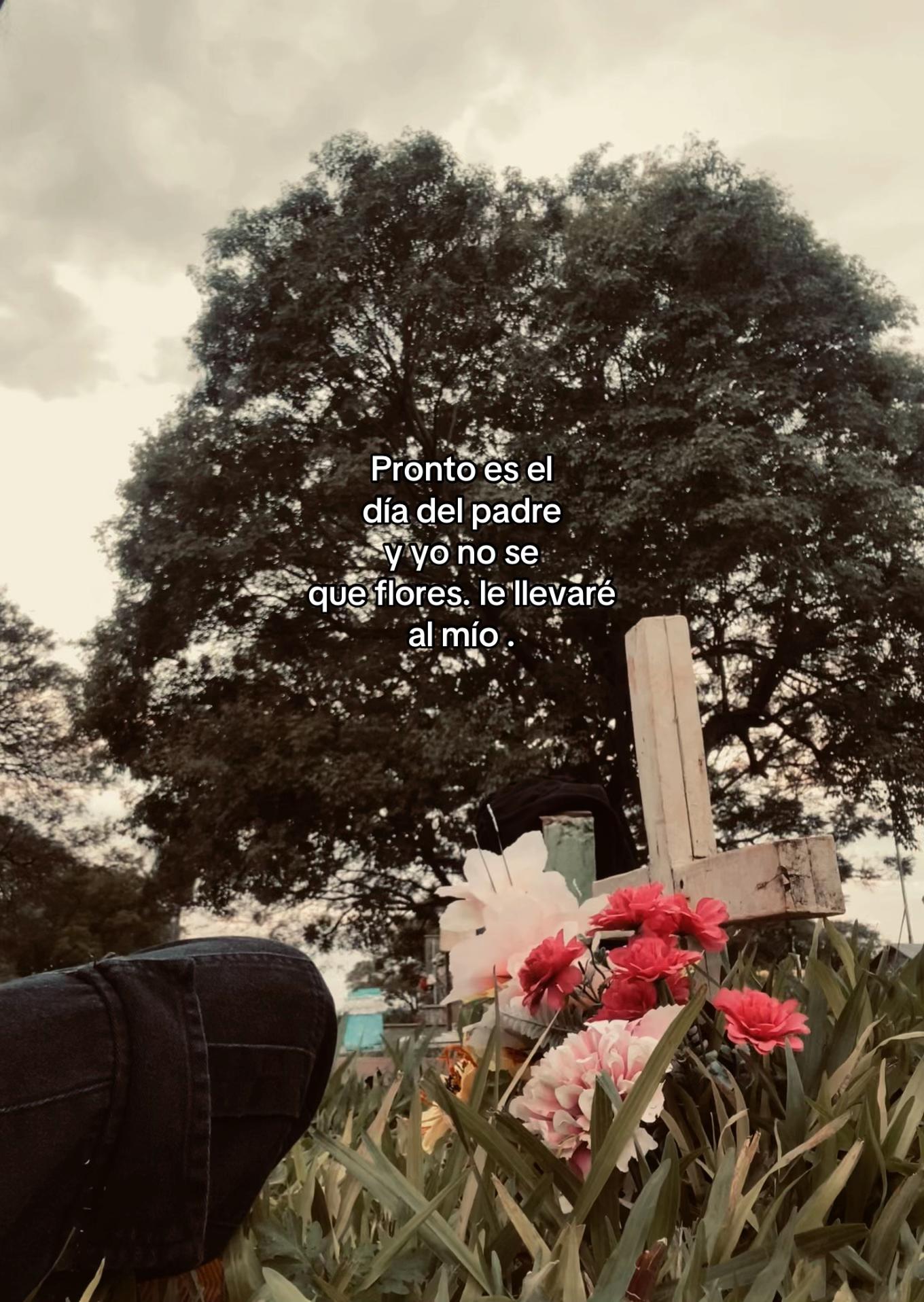 @D a m a r i s✨