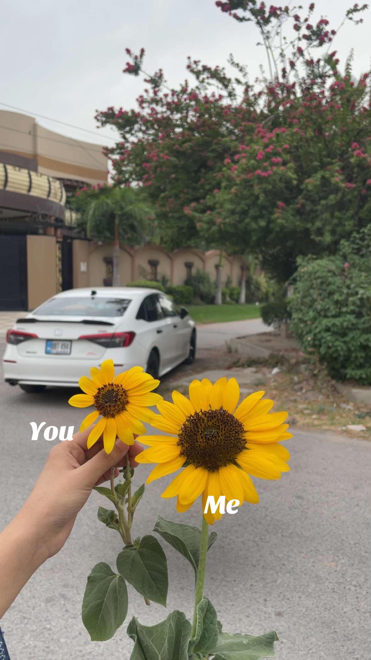 @🪁