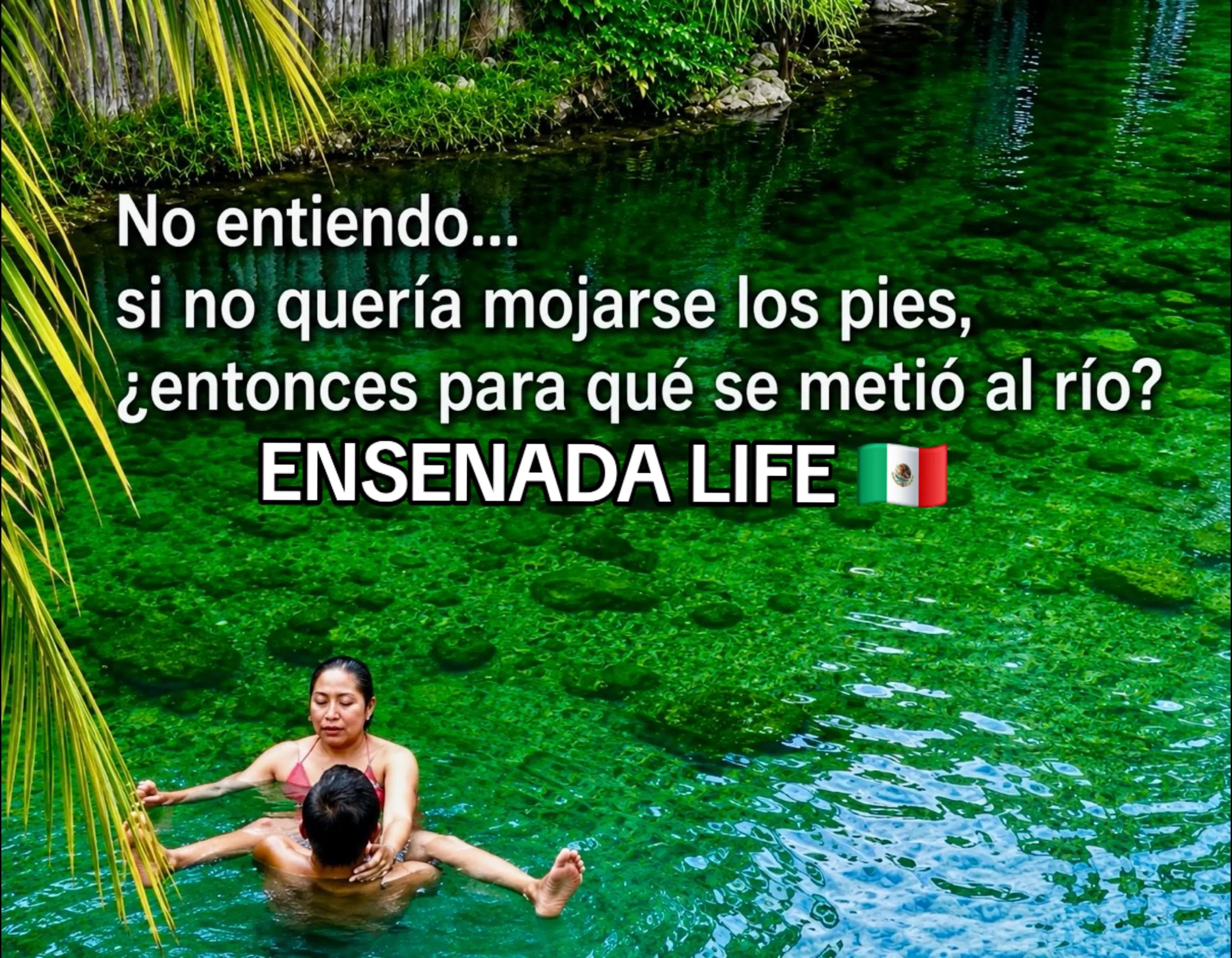 @EL Gallo Salcedo🇲🇽