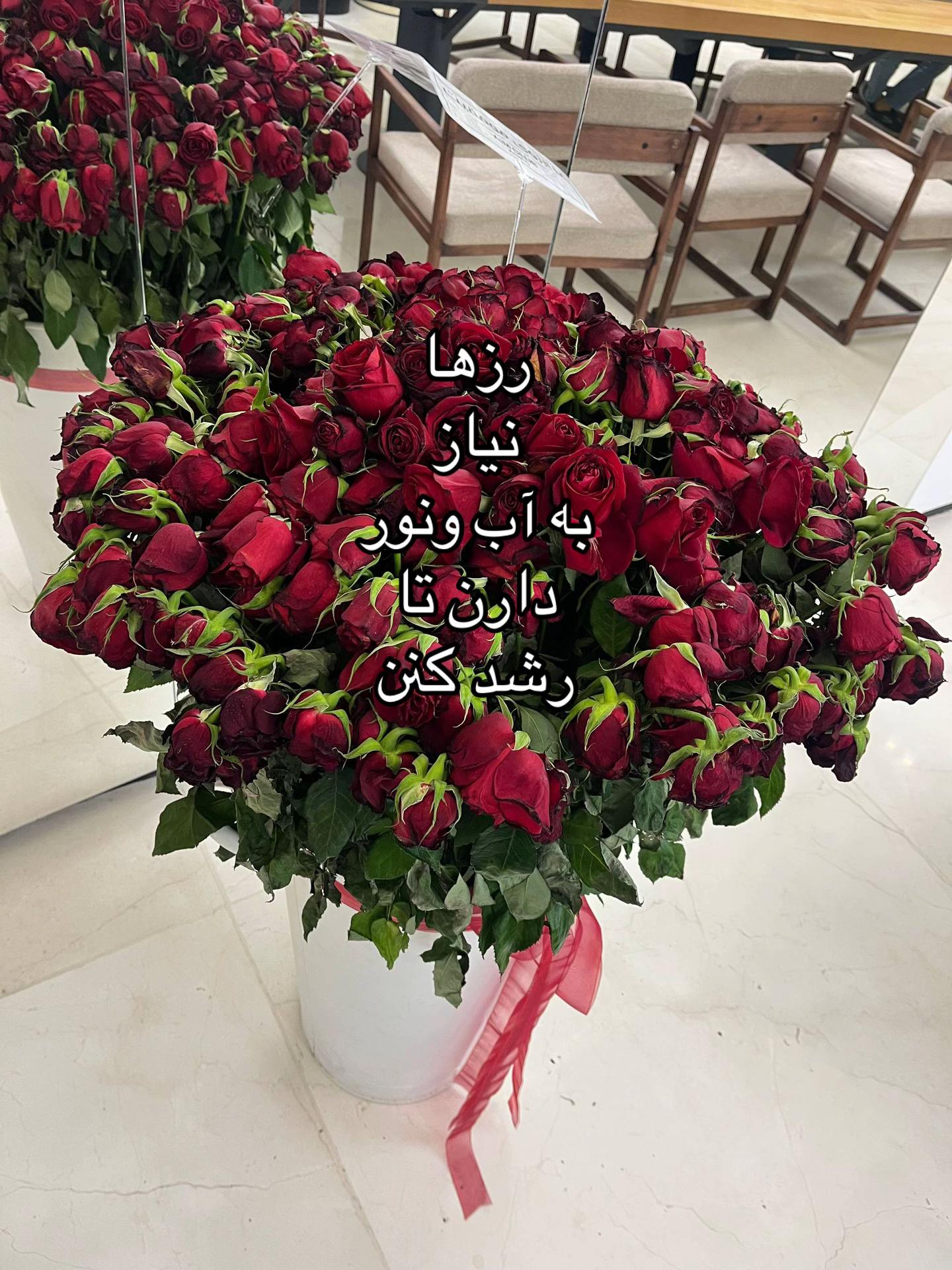 @saharrahmany