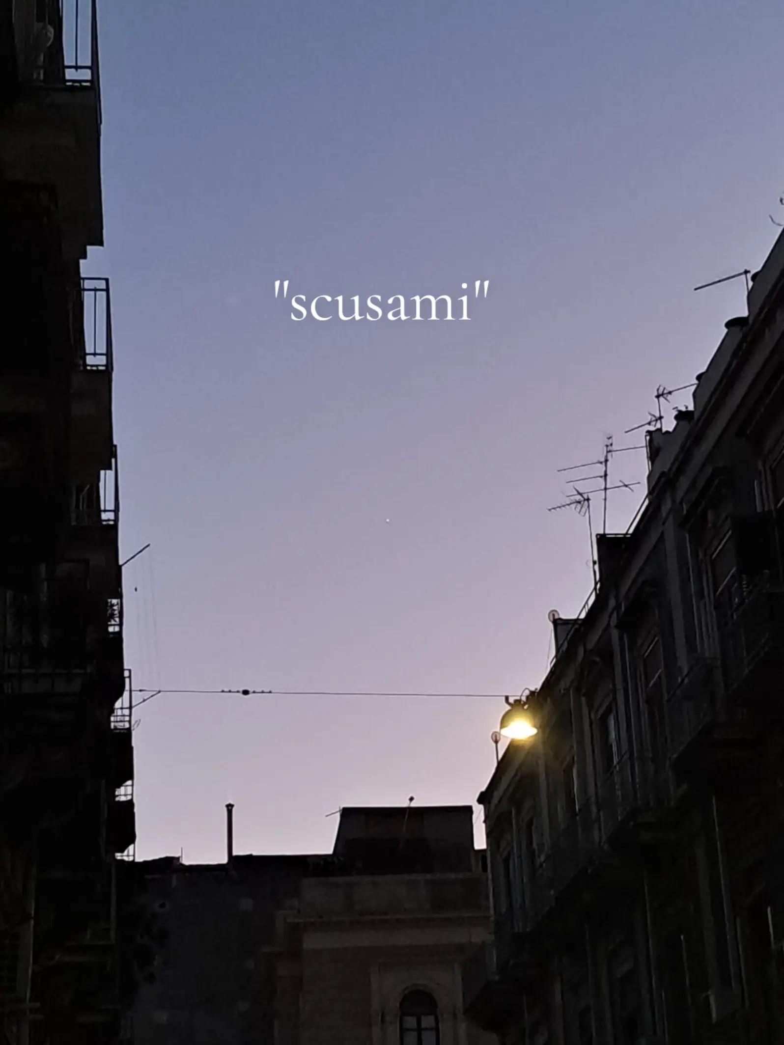 @🤍۶ৎ~𝗴𝑖𝑜~𑣲🤍