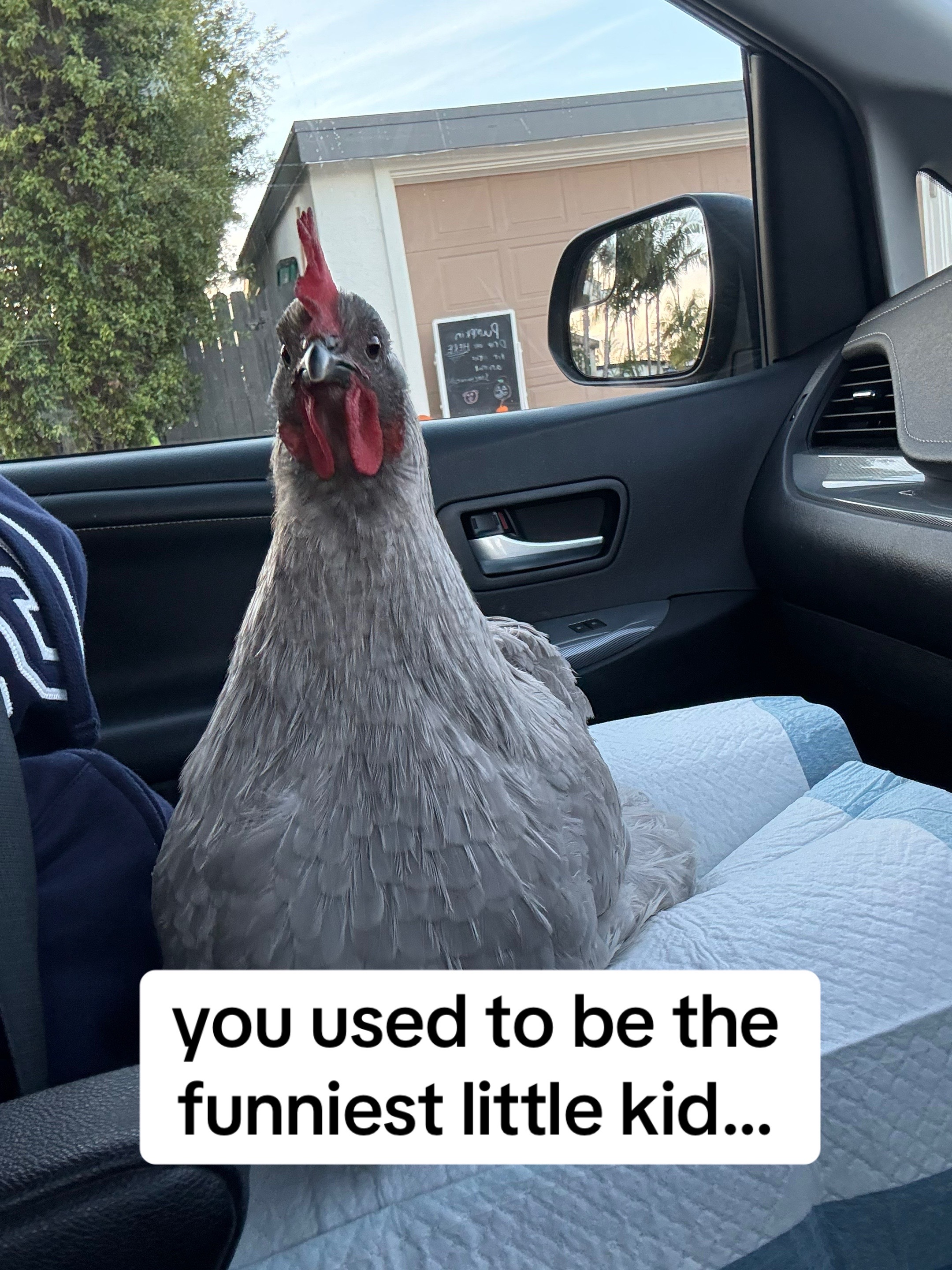 @Seven_mightyhens