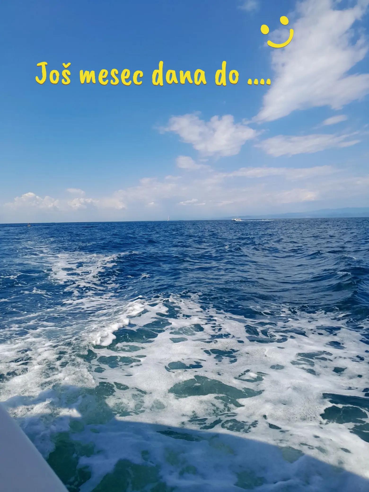 @Danijela 💫