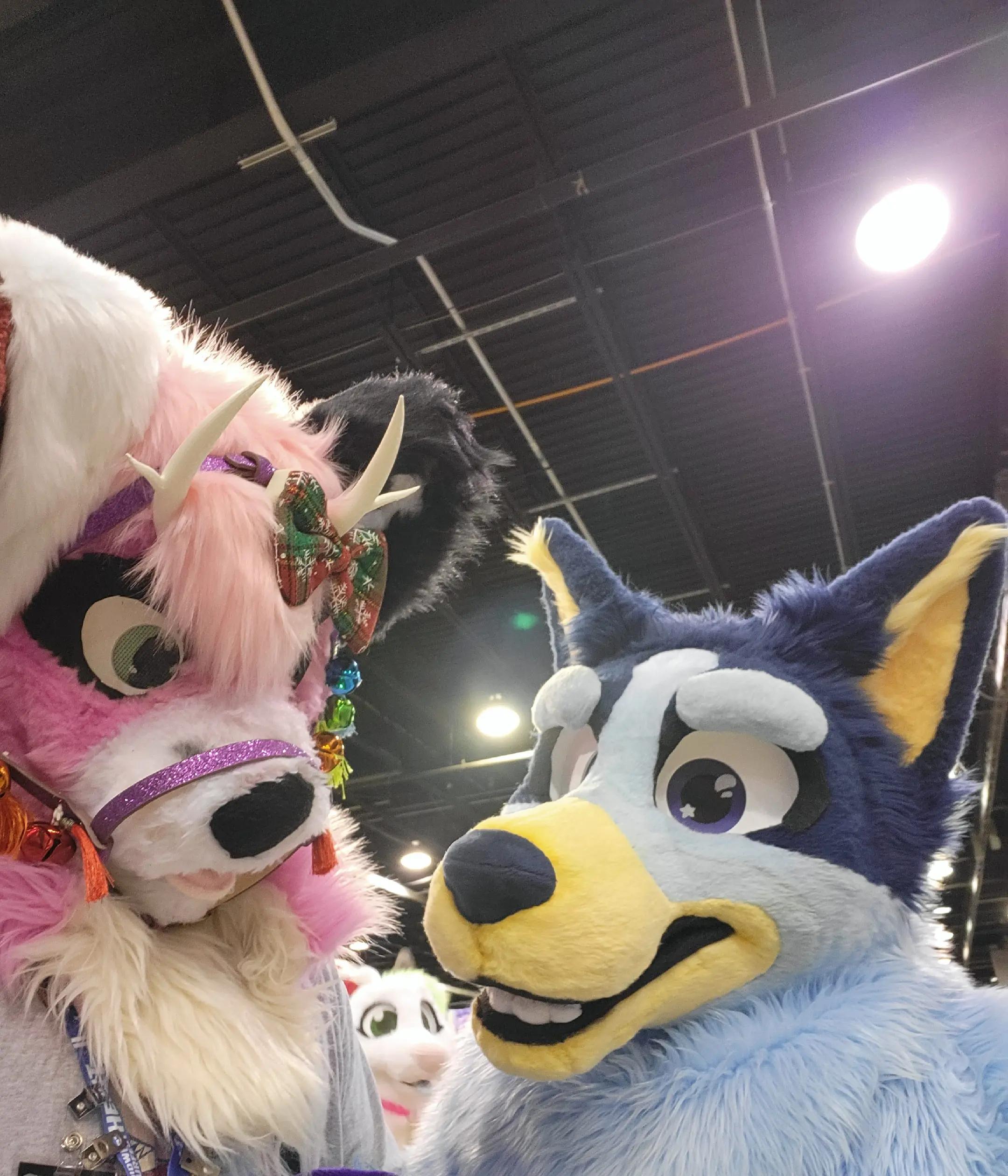 @Savi Wolf ๐ MFF
