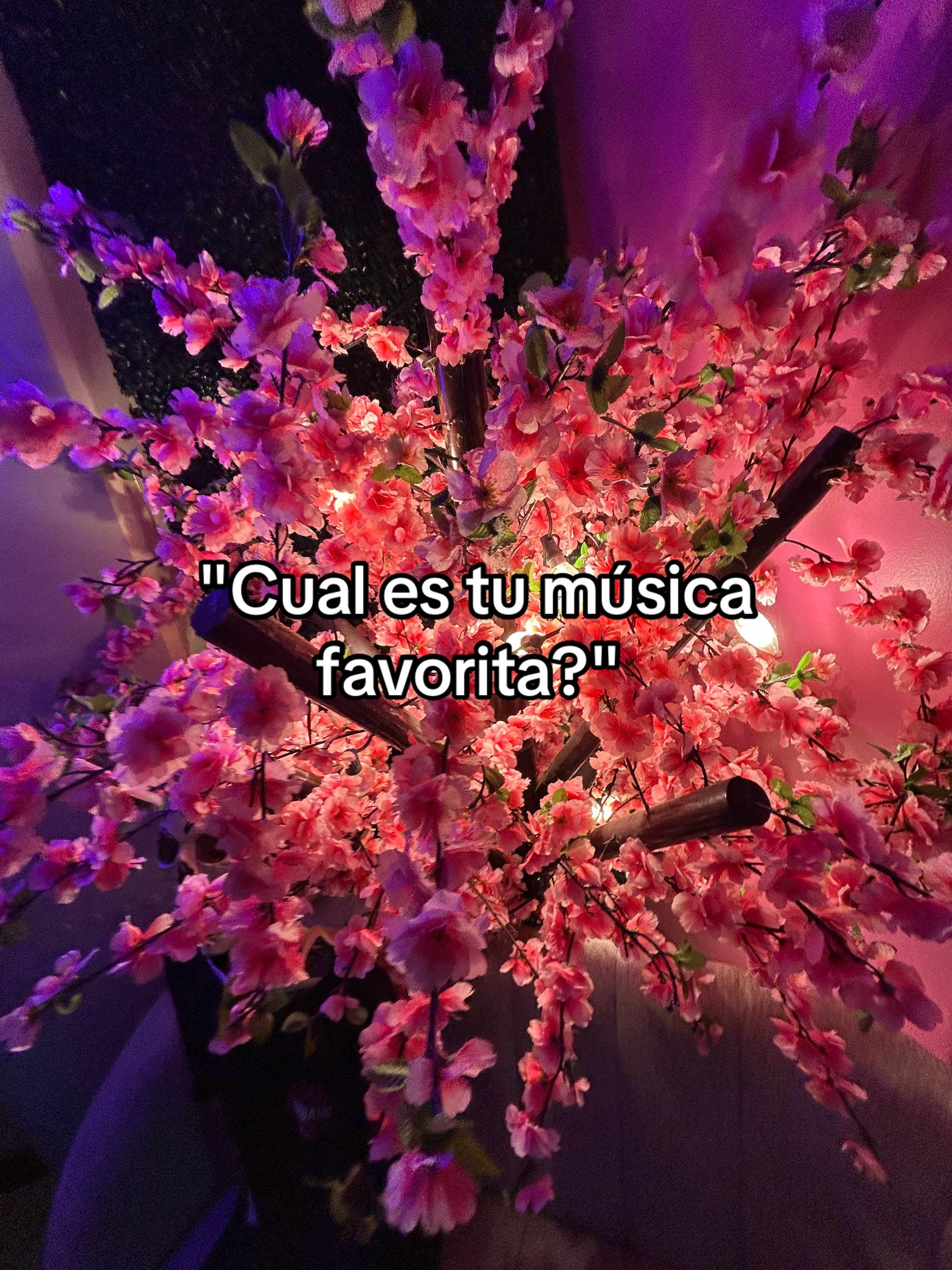 @ᥫ᭡
