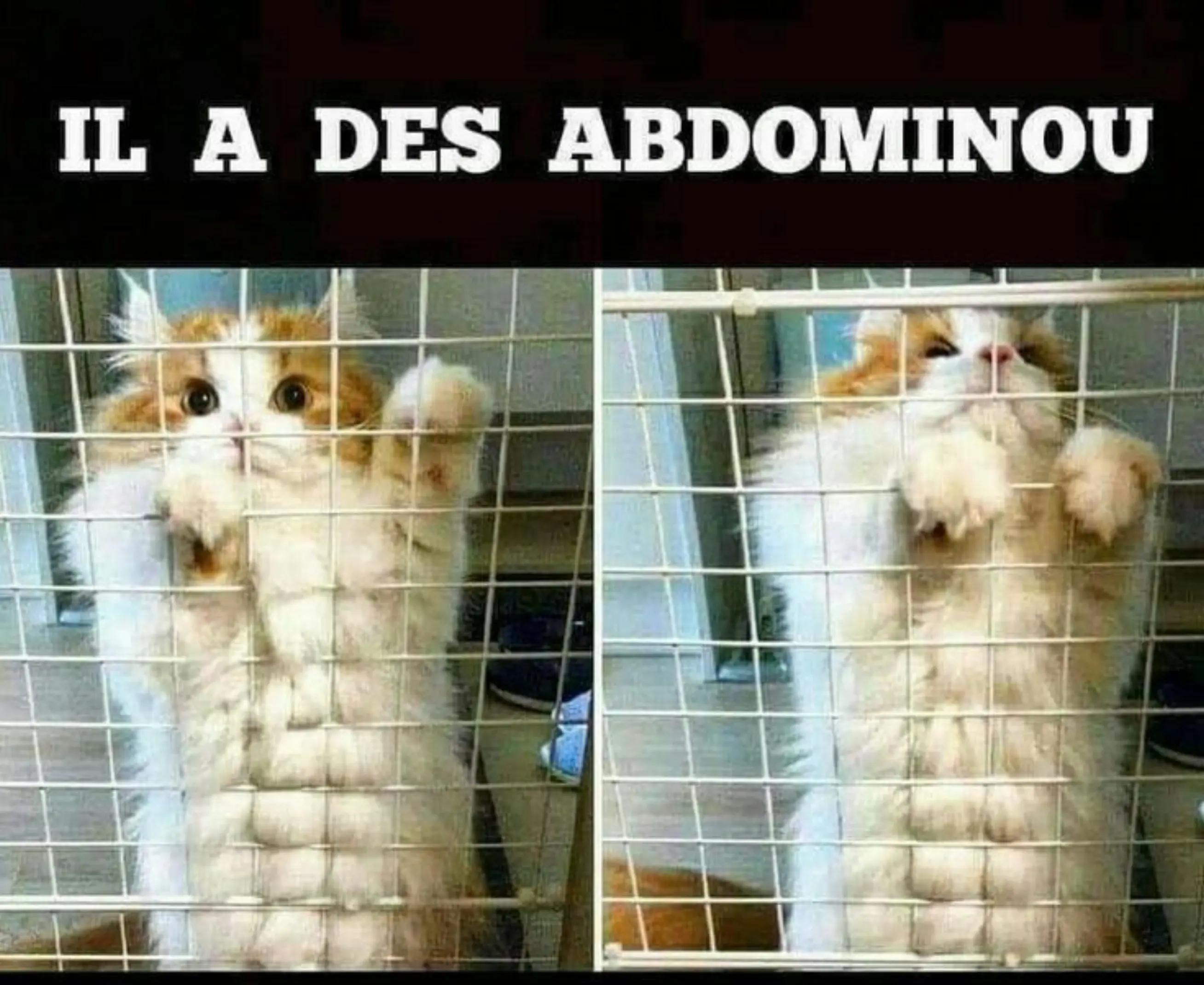 @celtal 📚