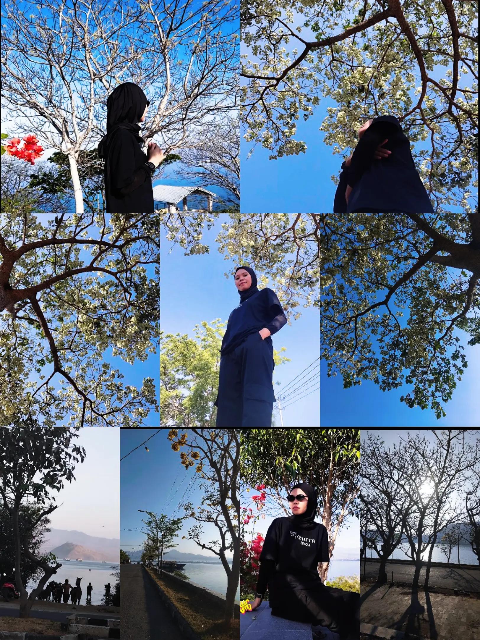 @dharaAraa