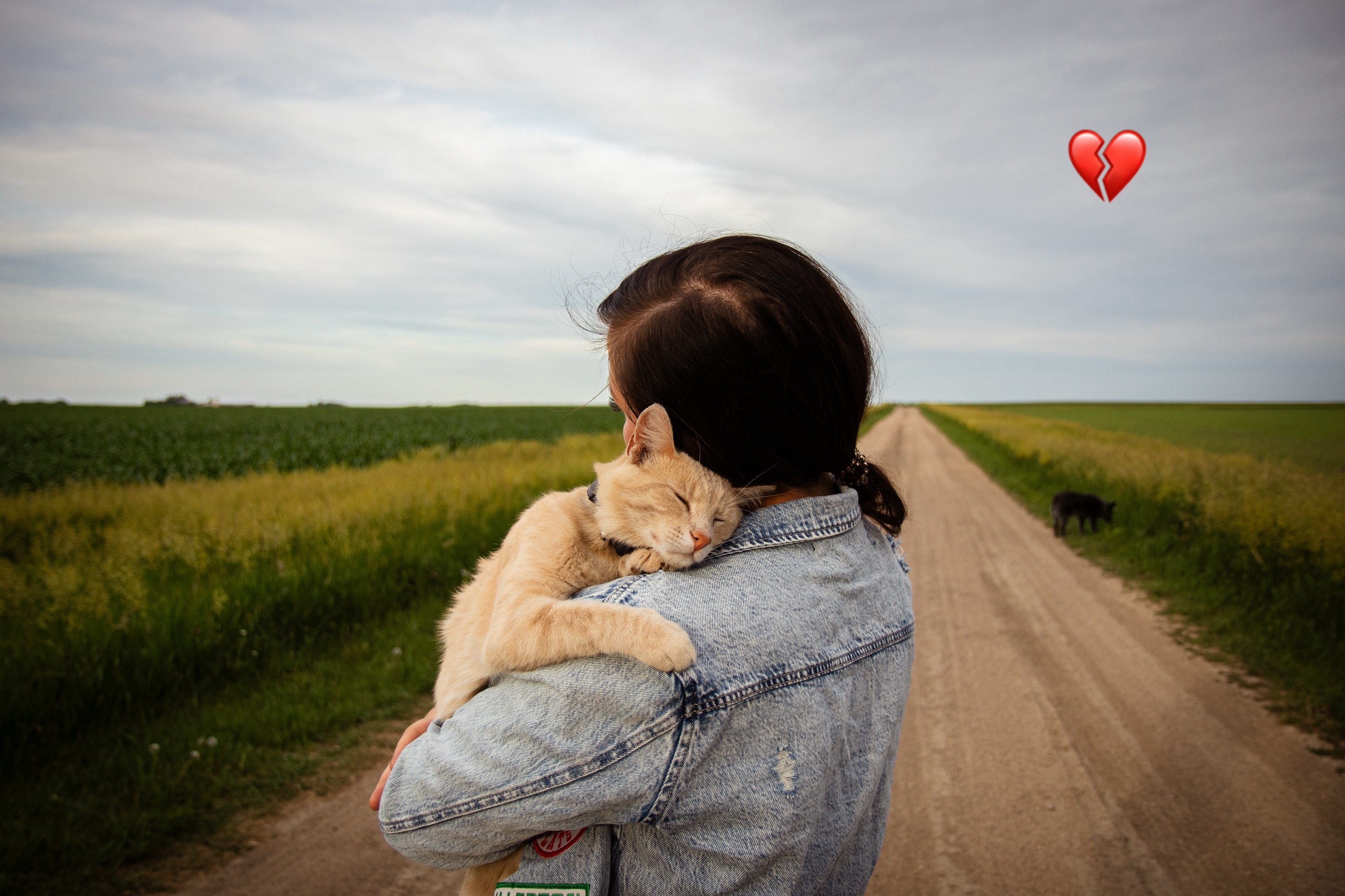 @Andrea