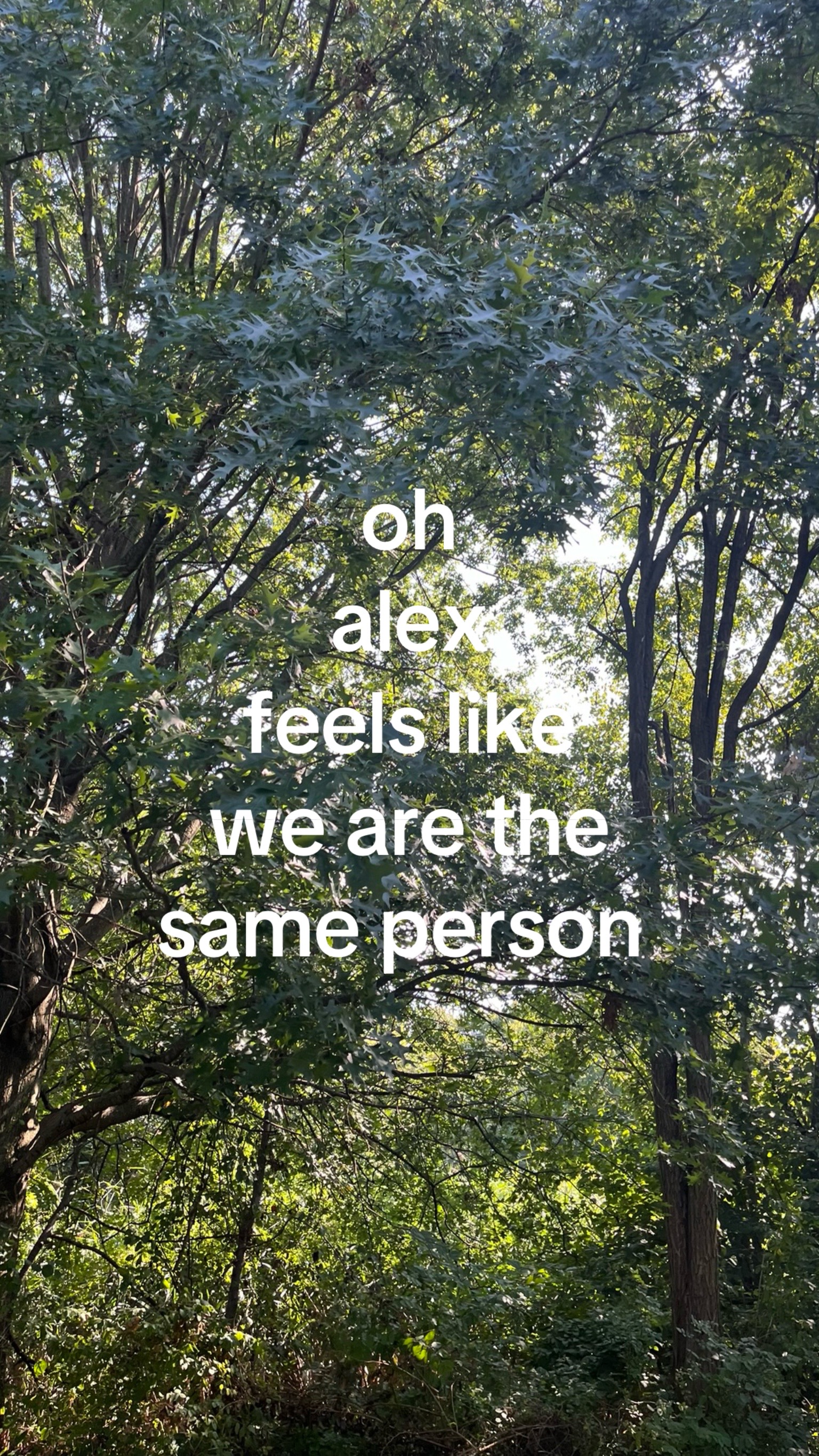 @misunderstood