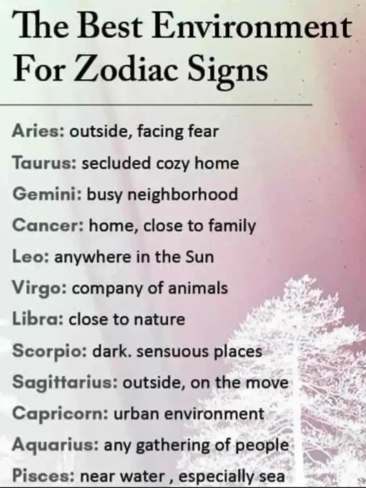 @Daily Zodiac 🔮 | Black Rose