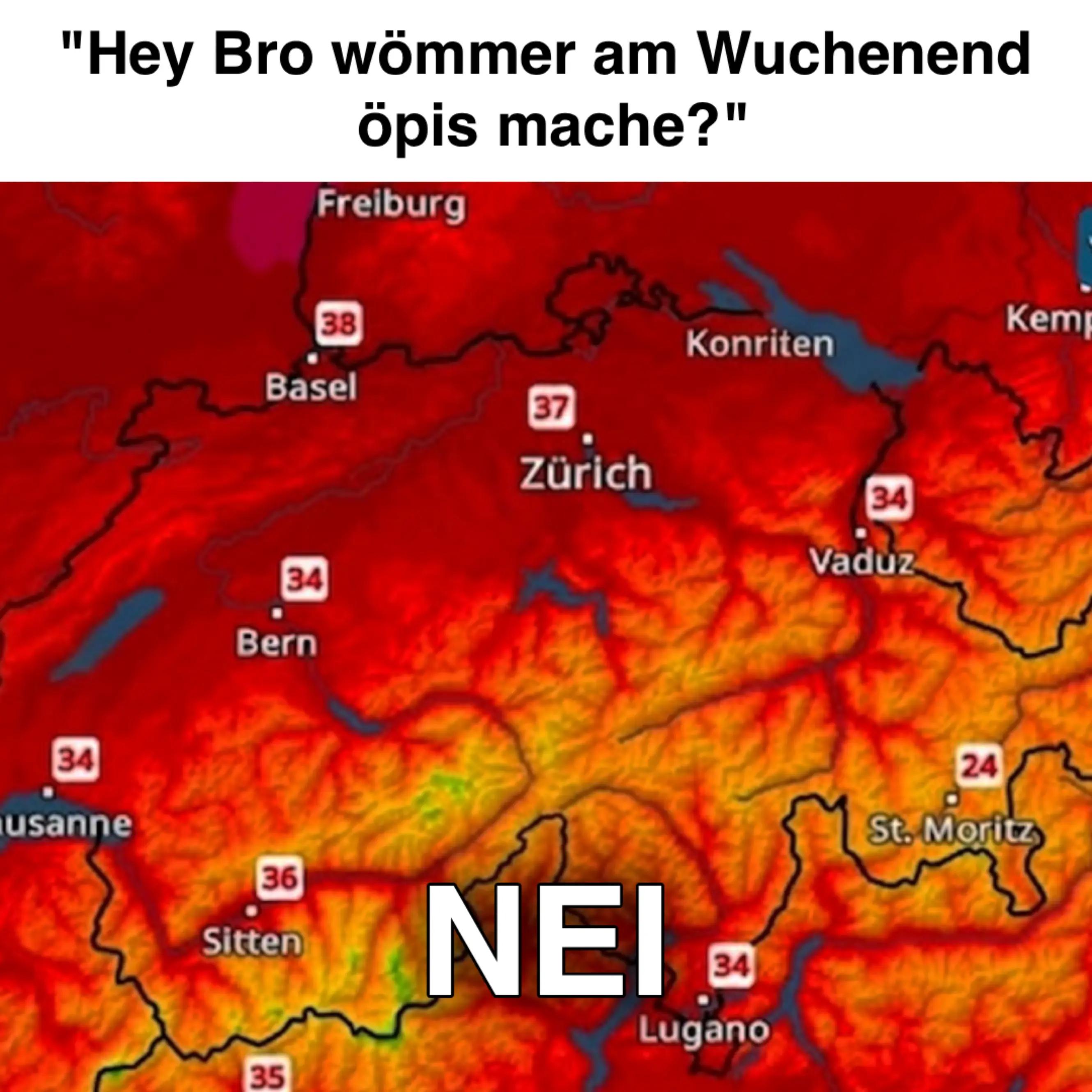 @hajdgenoss