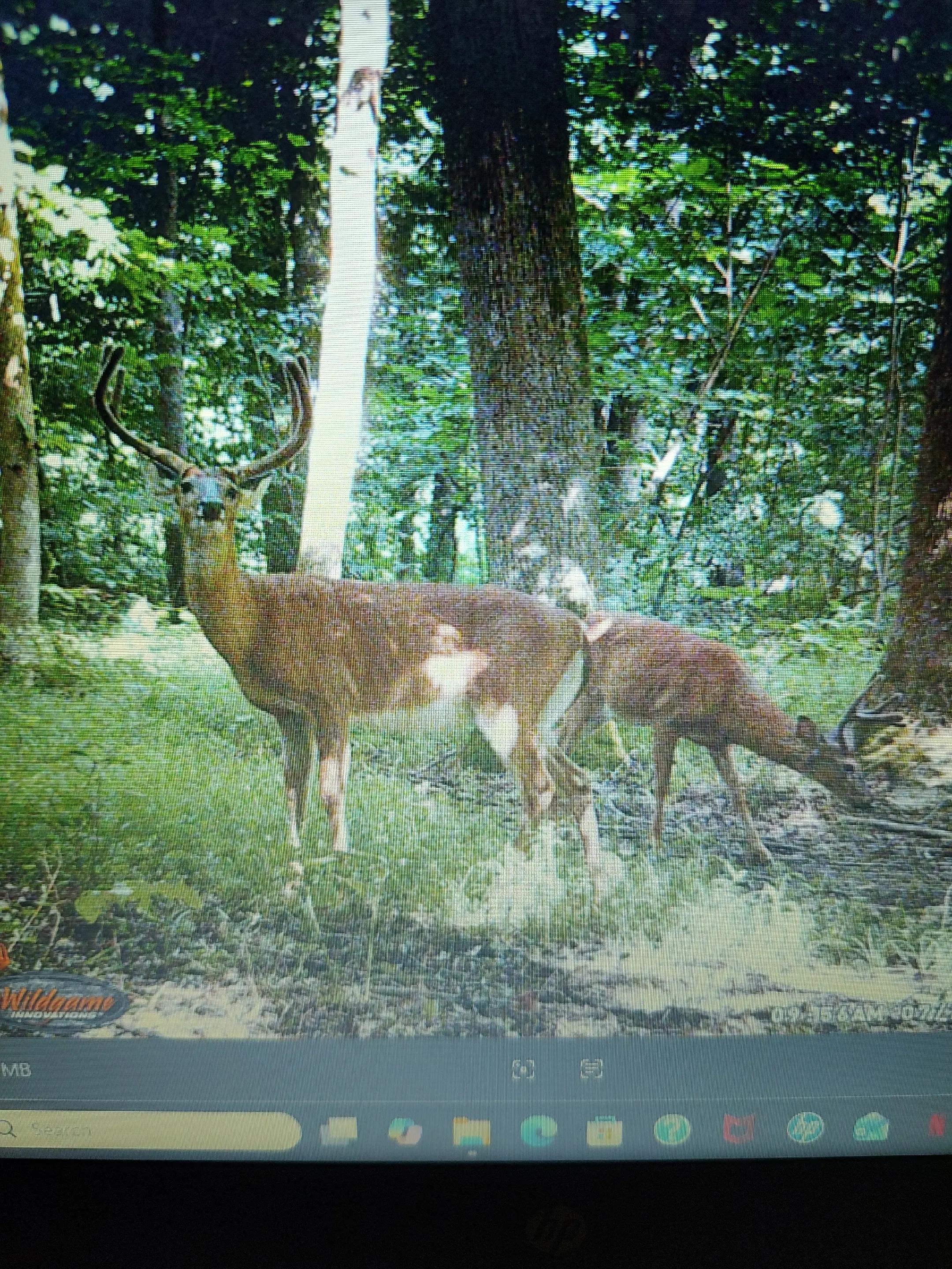 @🏍️ 🌲JasonB1985 🦌🎣✨