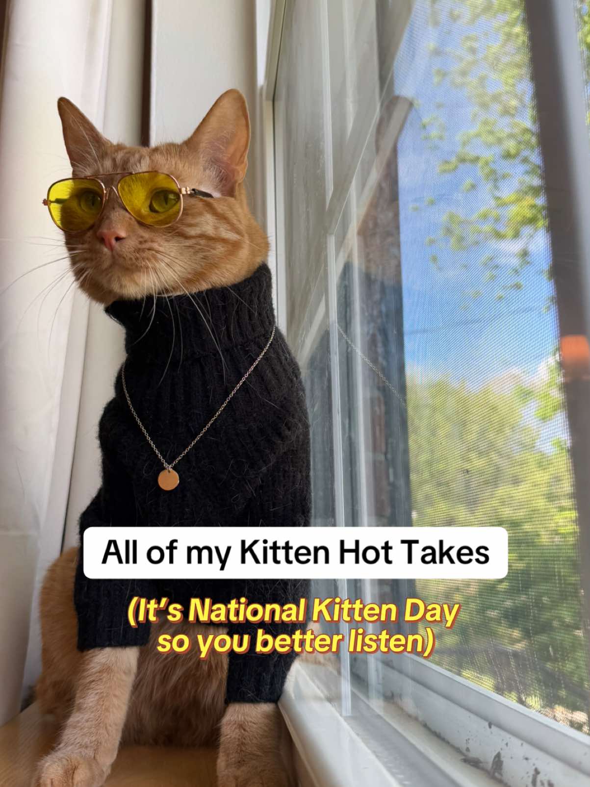 @neuteredscooter