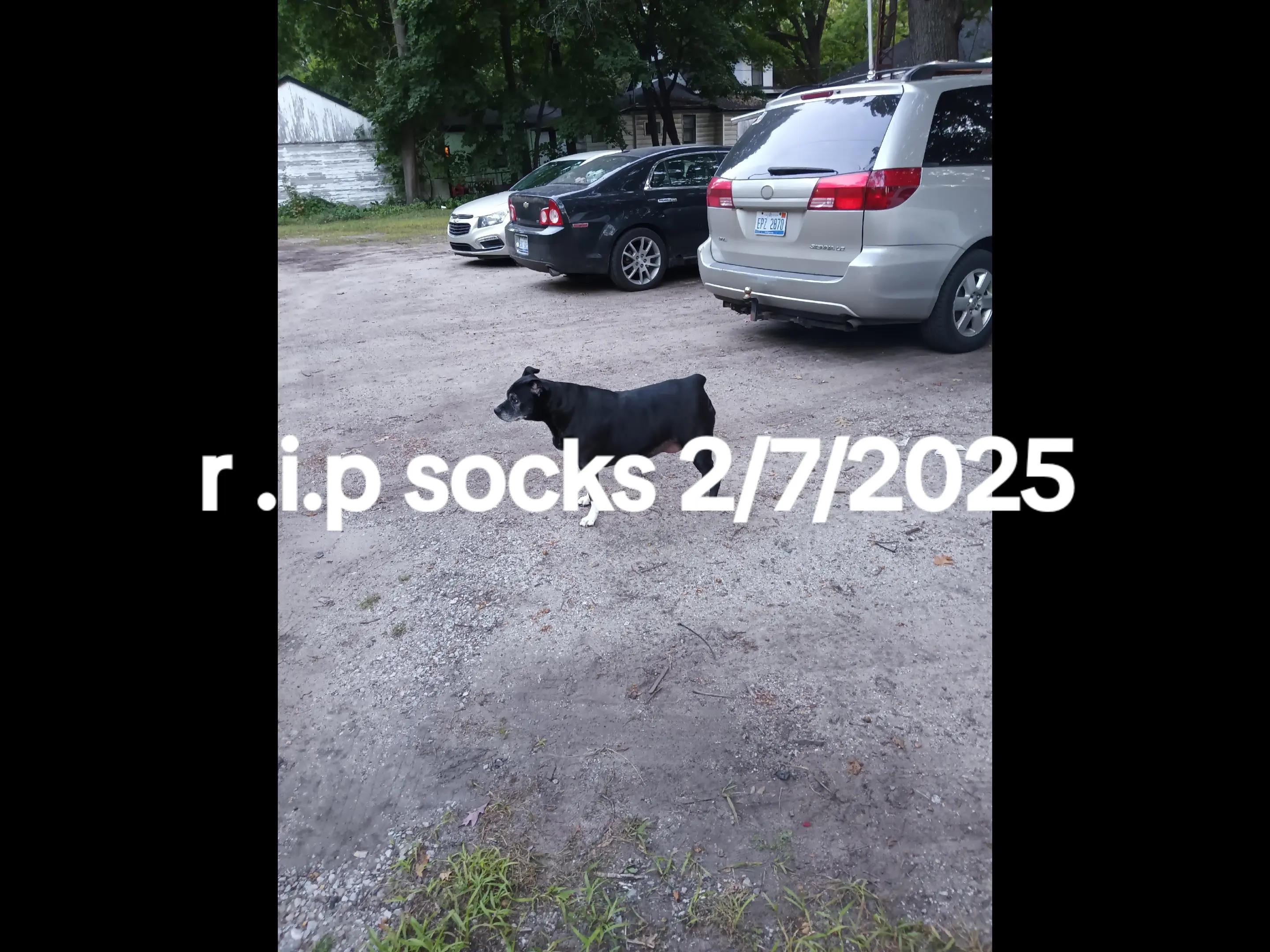 @inmemoryofmyson22