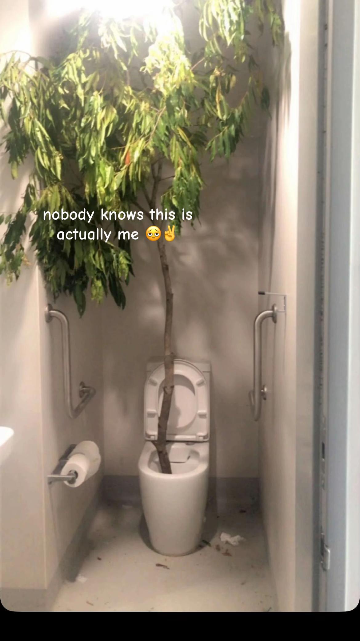 @lieu