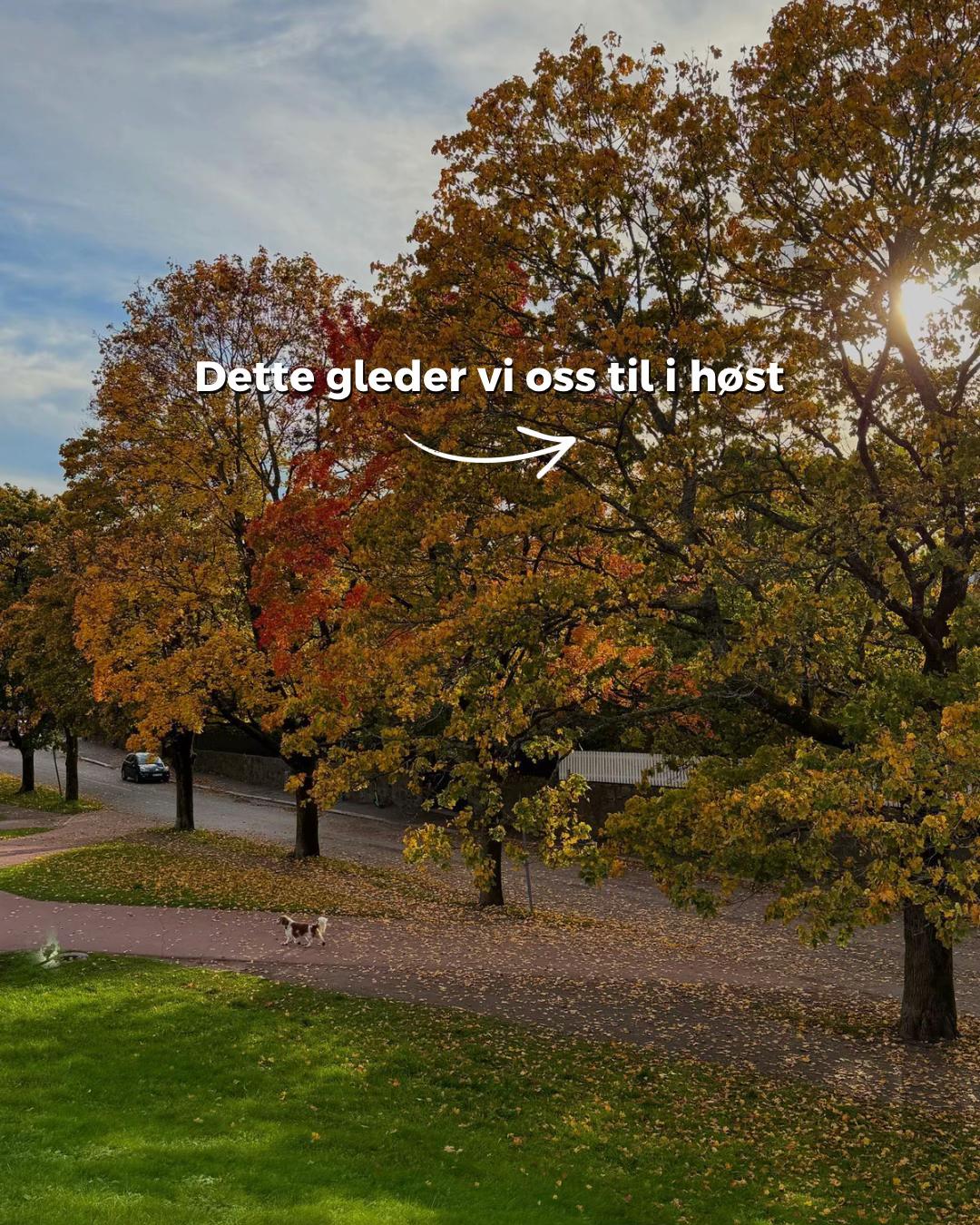 @Mer av Oslo