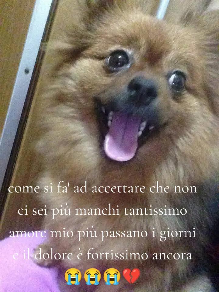 @Carmela Aiello