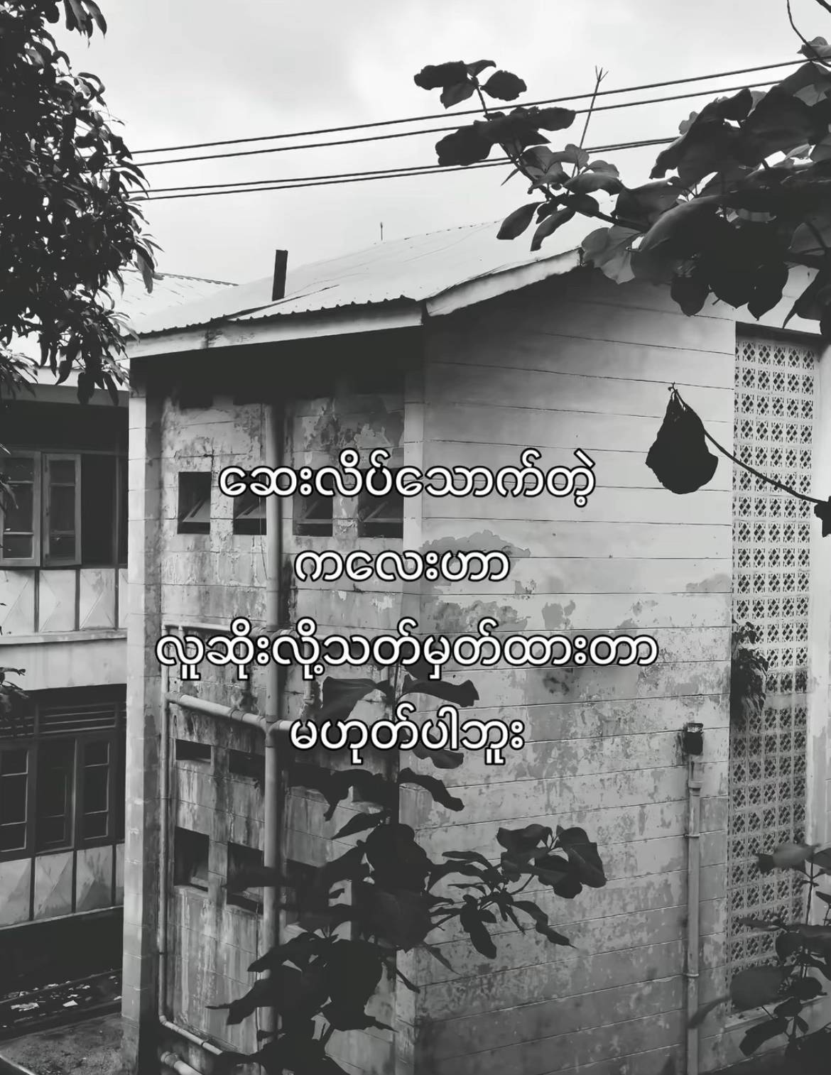 @&macr;`*✿ 𝐶𝐻𝐴𝑁 𝑀𝑌𝐴𝐸 ✿*&acute;&macr;🐒