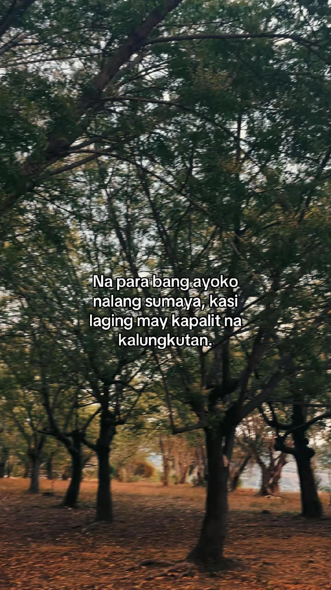 @🥰Lyka🌸😍