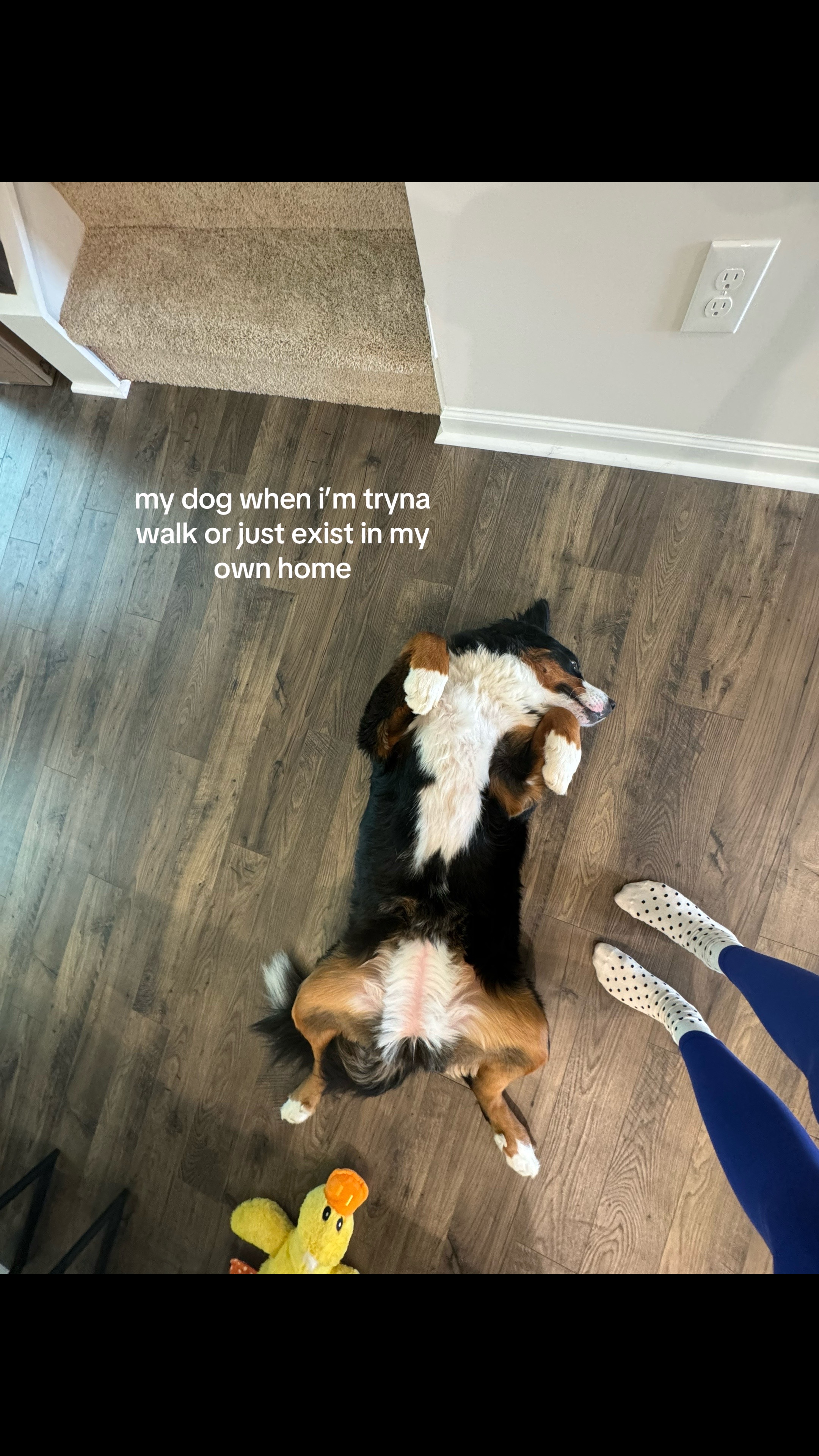 @Clover + her mom!