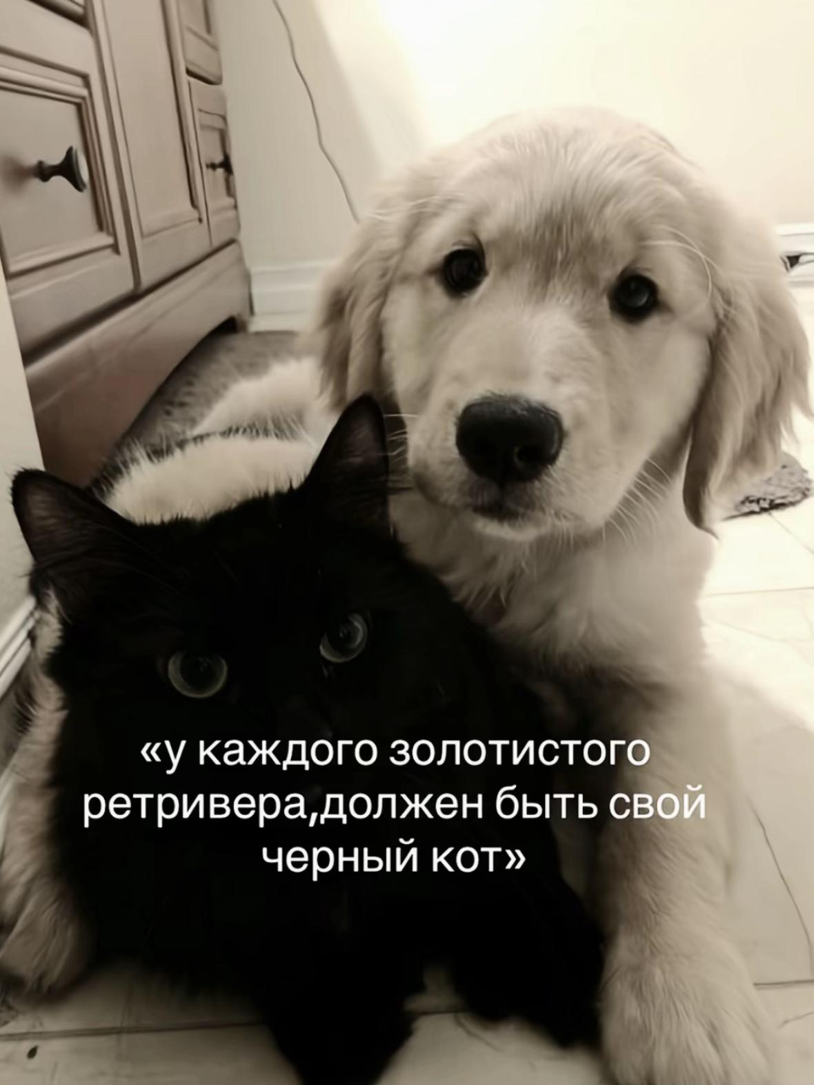 @𝓇𝑜𝓍𝓎🪽