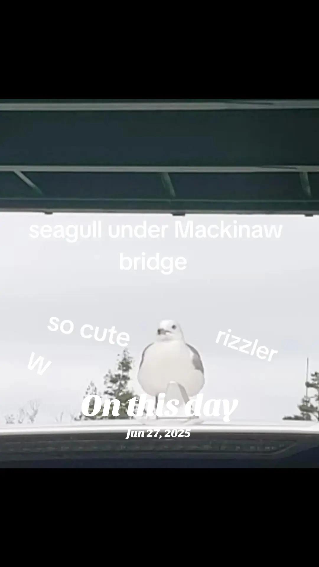 @[sigma]grayMichaelJacksonfan