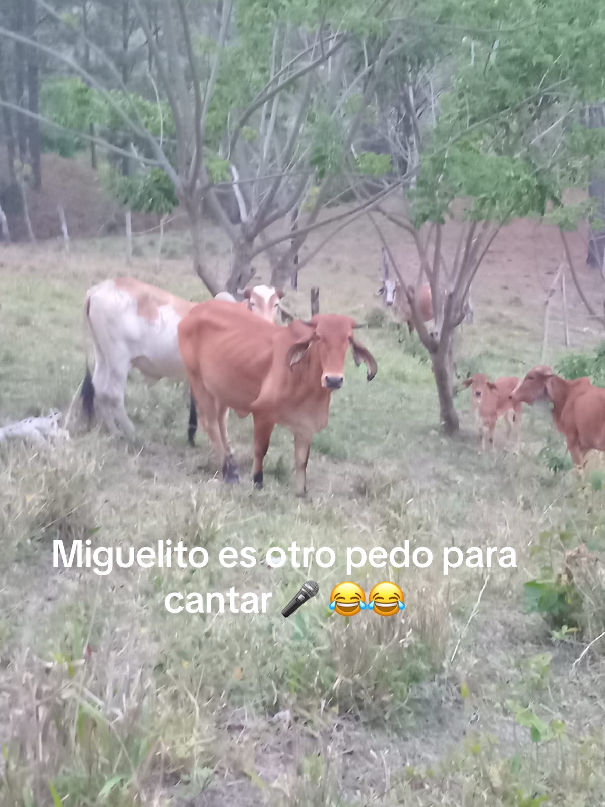 @Samir Buezo