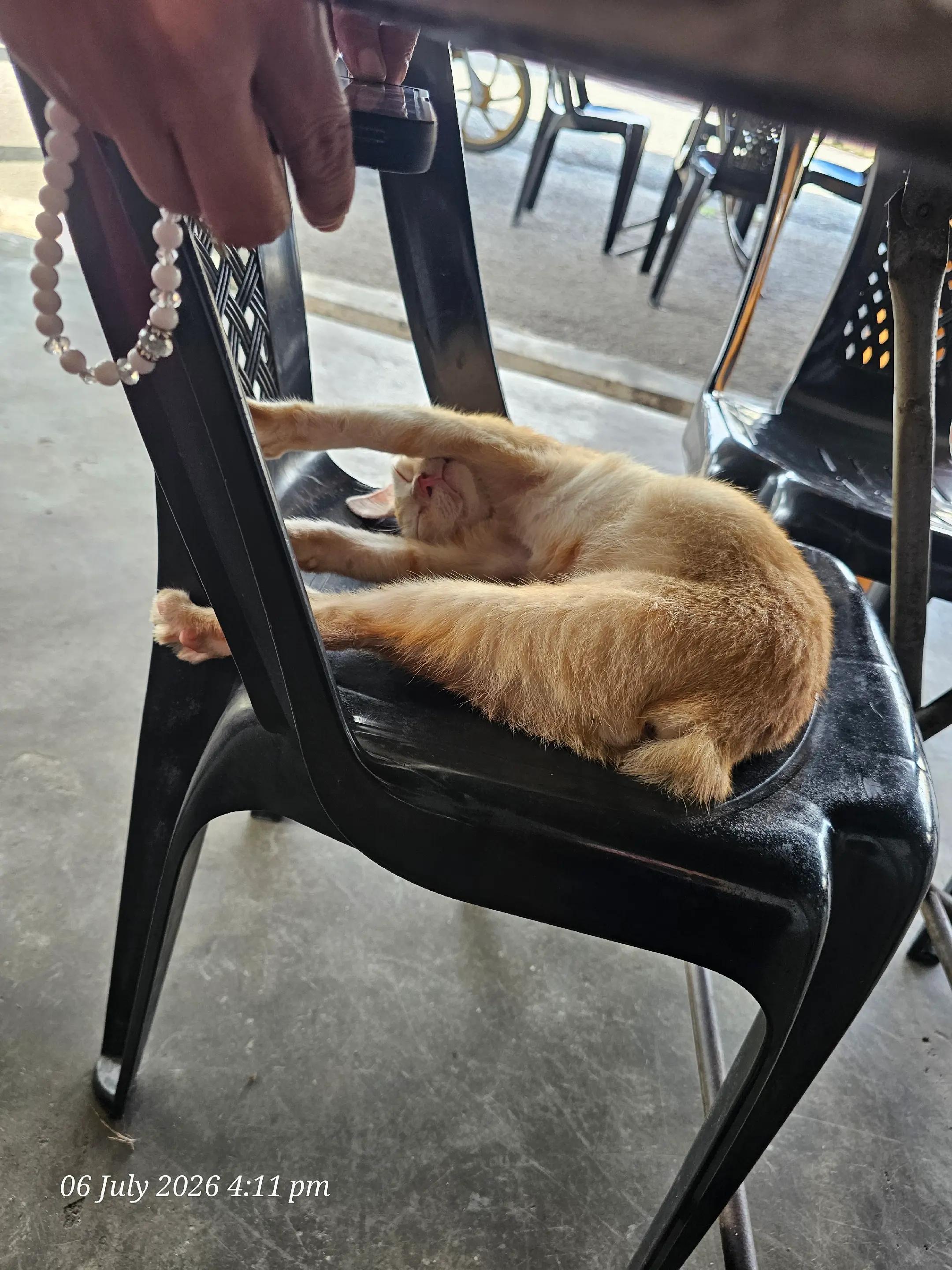 @AyuMasayu Kalamudin