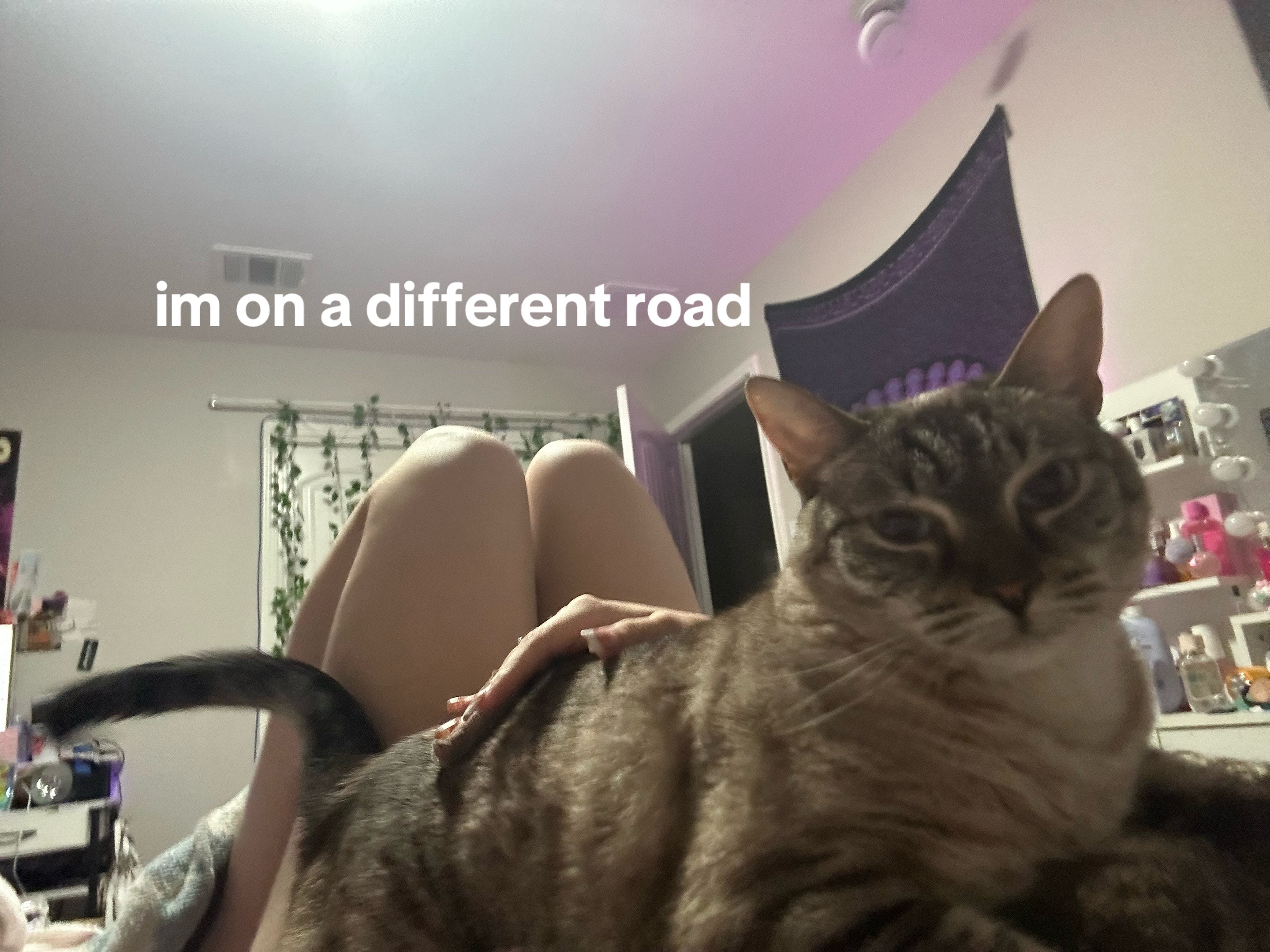 @athena ₊˚⊹ ʚɞ