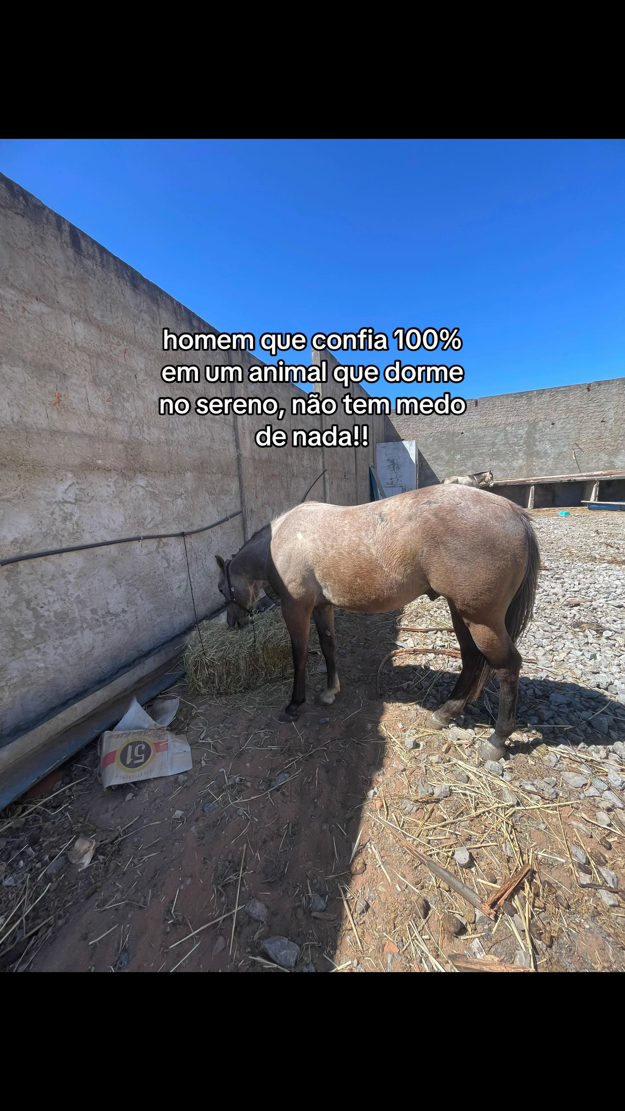 @Guga da Maia