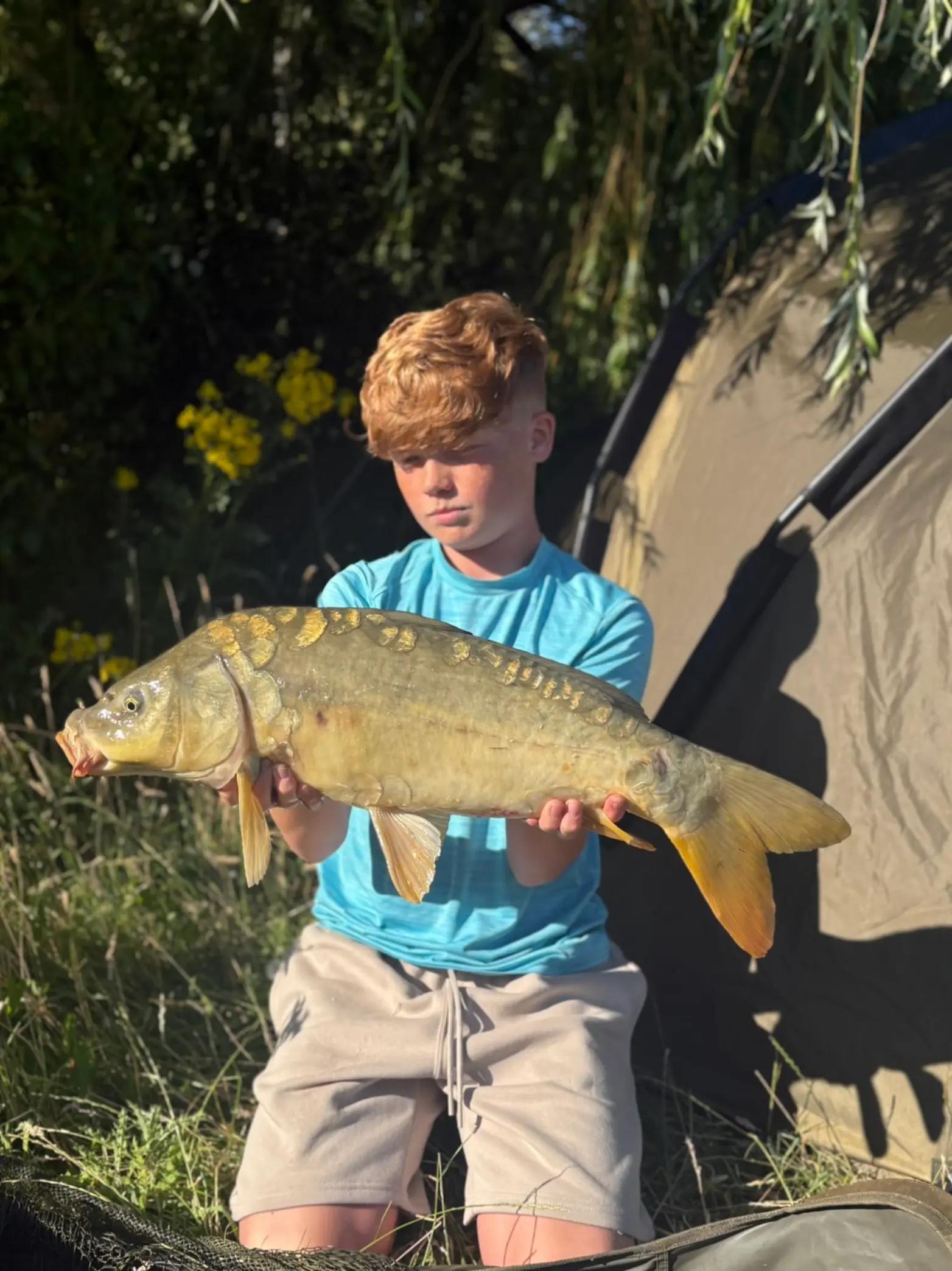 @Carpy Brez